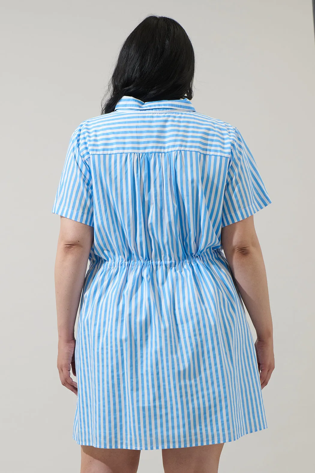 Saida Striped Kenda Shift Mini Dress Curve sold by Sugarlips product image thumbnail 2