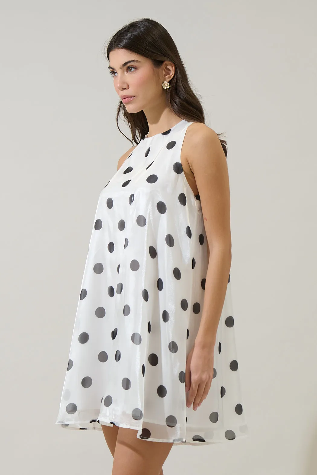 Randal Polka Dot Organza Mini Dress sold by Sugarlips product image thumbnail 4