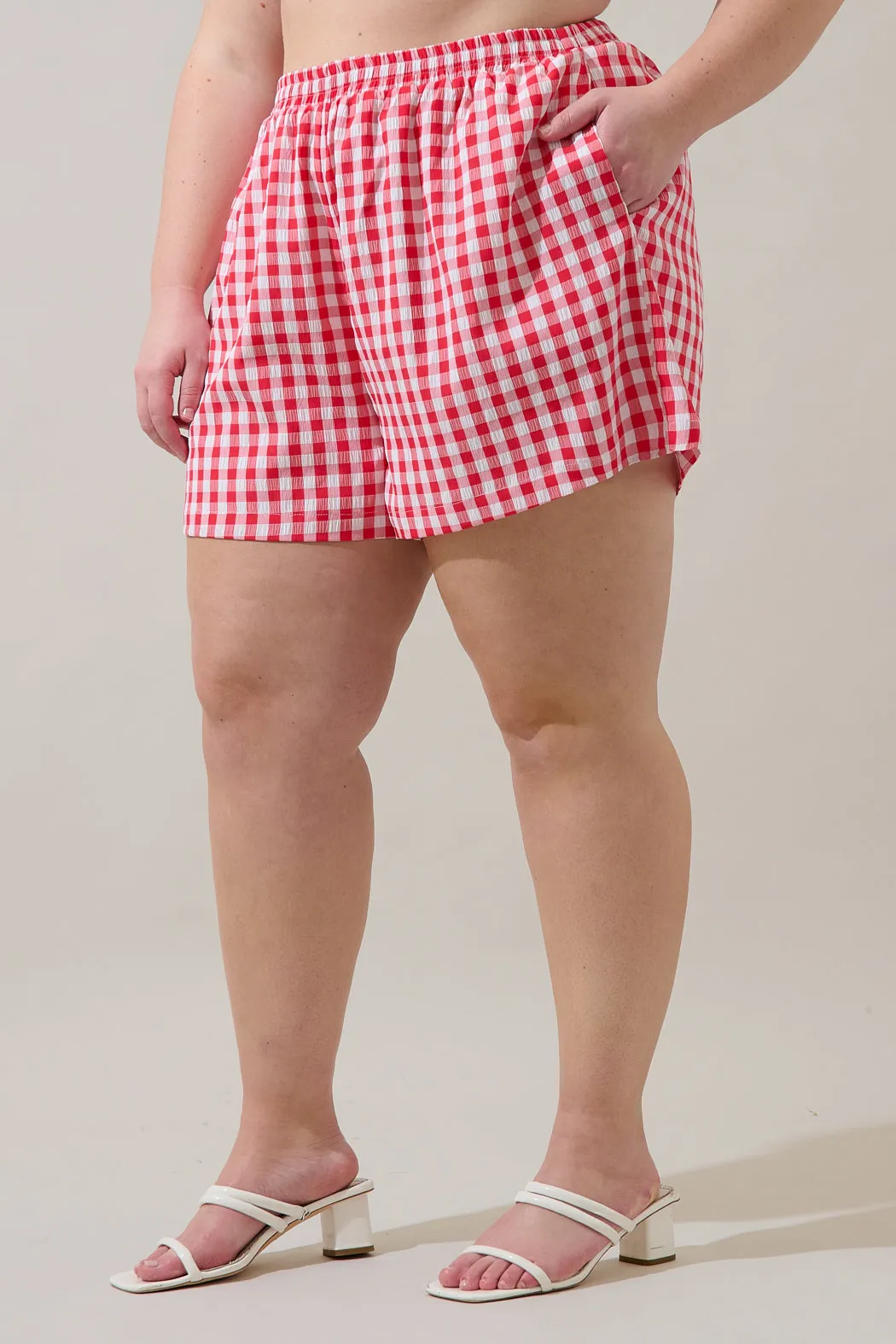 Macon High Waisted Shorts Gingham Curve sold by Sugarlips product image thumbnail 3