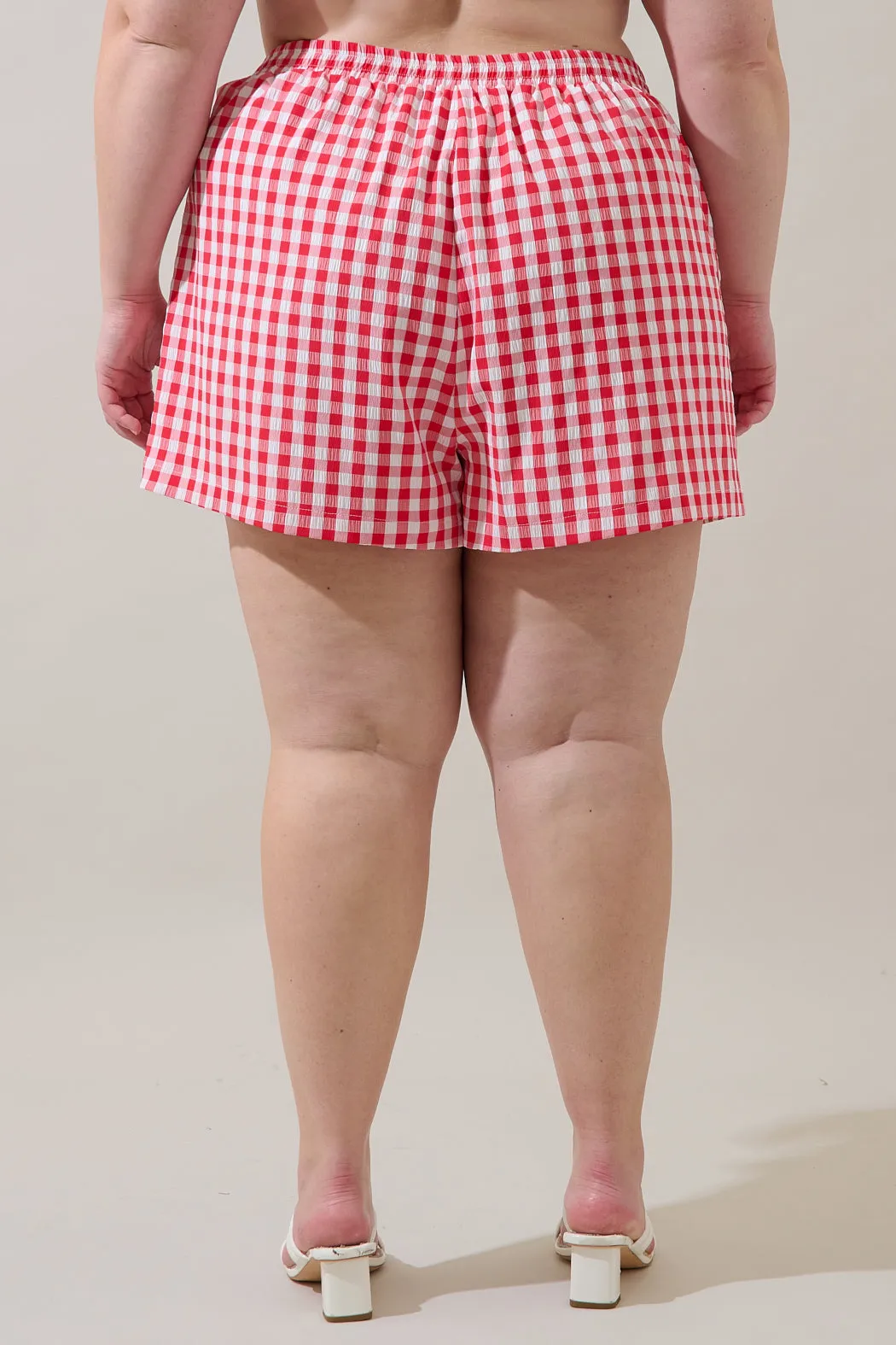 Macon High Waisted Shorts Gingham Curve sold by Sugarlips product image thumbnail 2