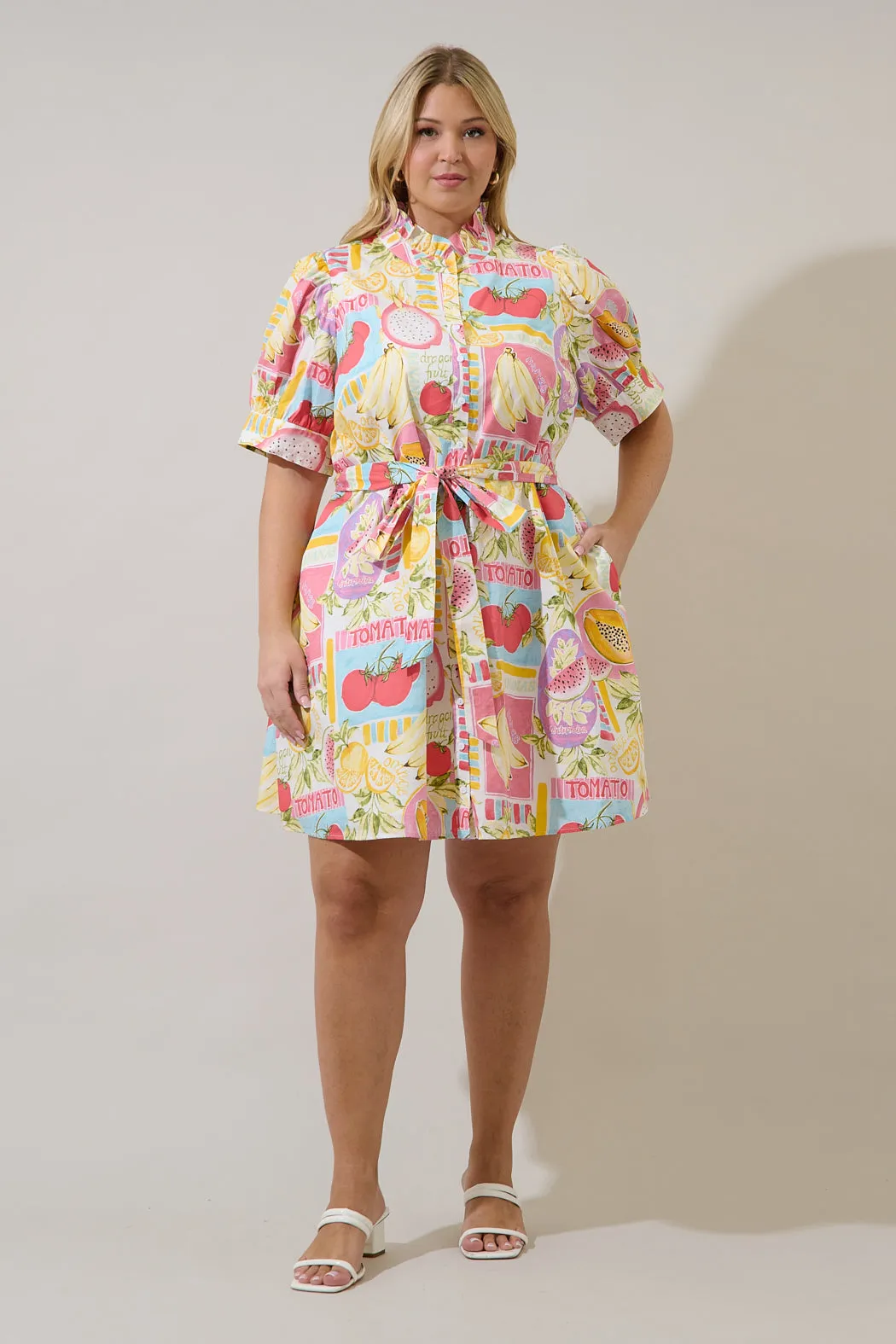 Karesa Button Down Mini Dress Curve Farmers Market sold by Sugarlips product image thumbnail 4