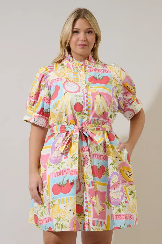 Karesa Button Down Mini Dress Curve Farmers Market made by Sugarlips