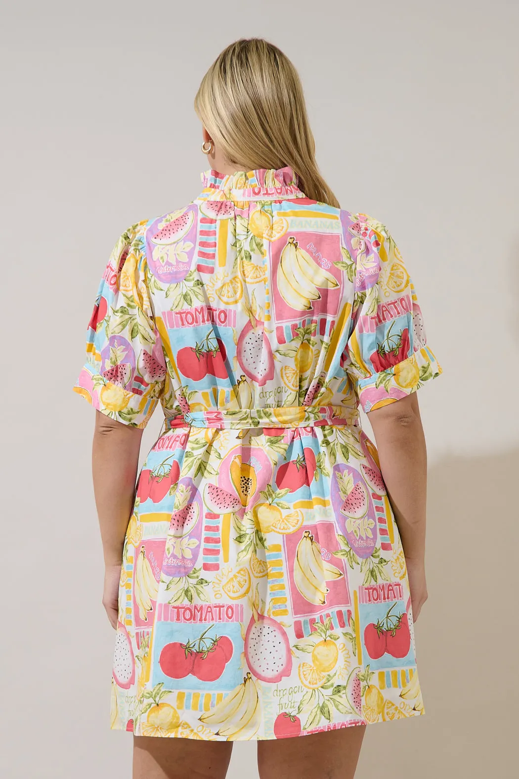 Karesa Button Down Mini Dress Curve Farmers Market sold by Sugarlips product image thumbnail 2