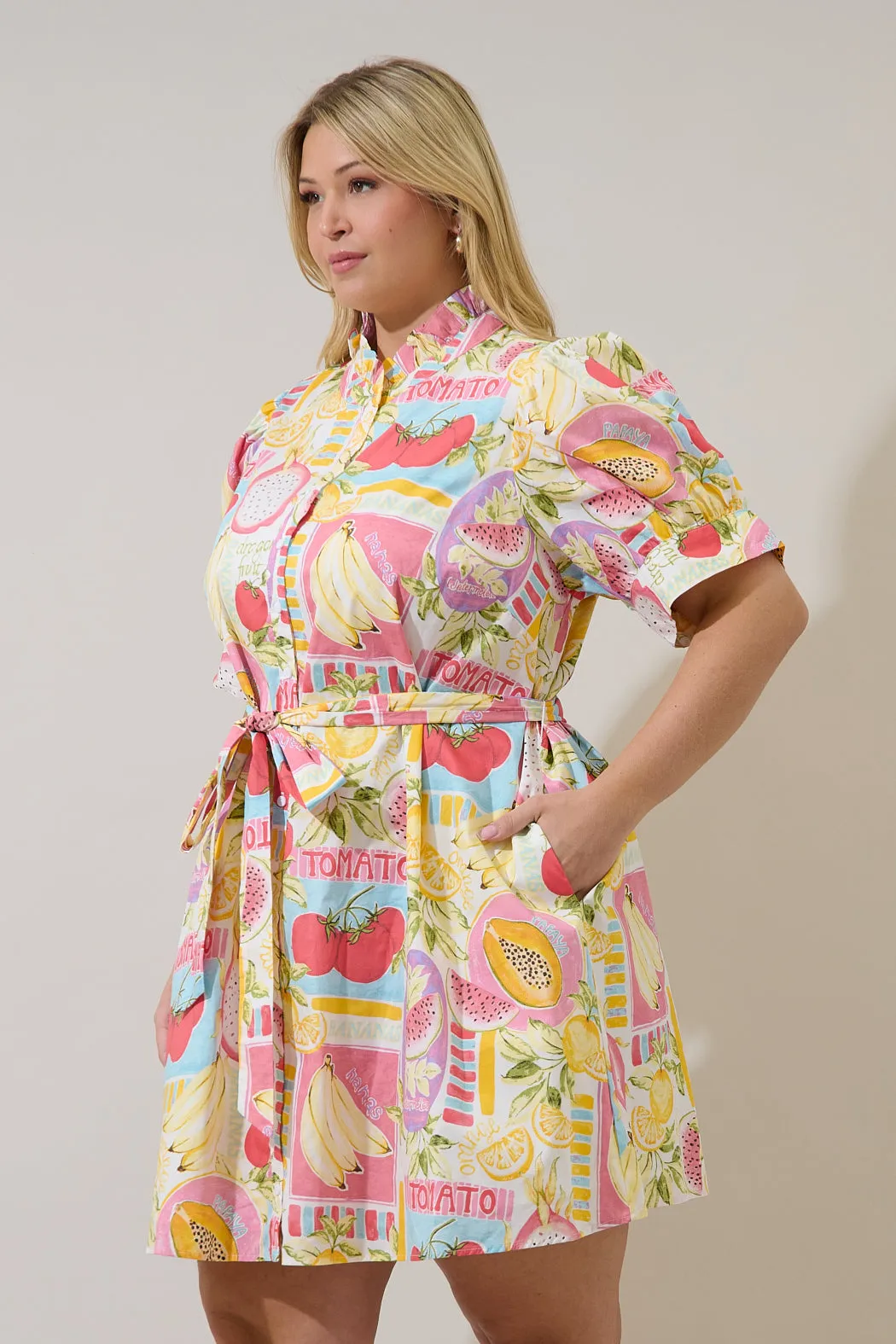 Karesa Button Down Mini Dress Curve Farmers Market sold by Sugarlips product image thumbnail 3