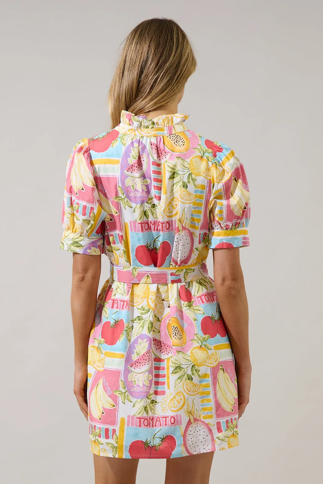 Karesa Button Down Mini Dress Farmers Market sold by Sugarlips product image thumbnail 3