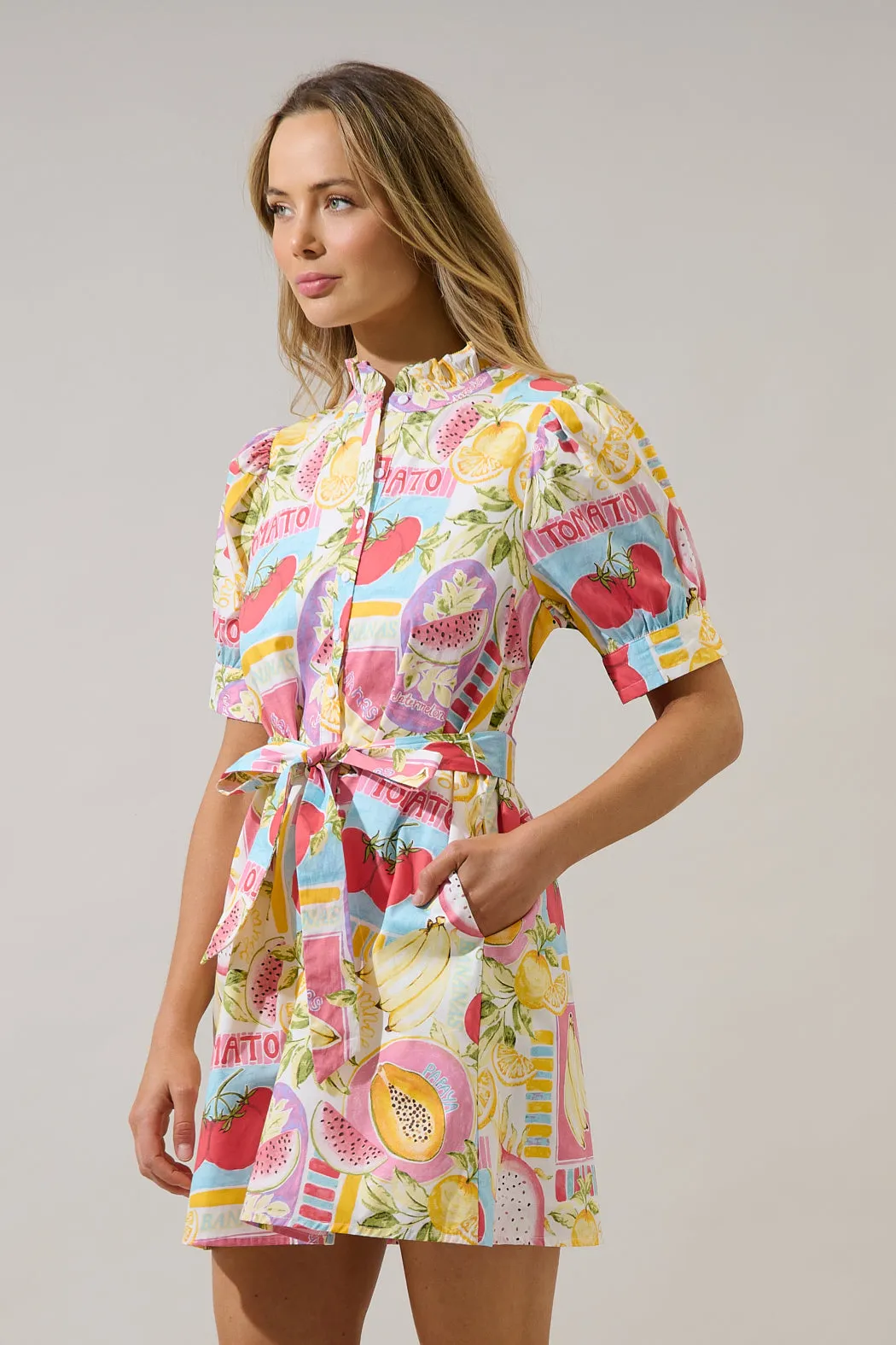 Karesa Button Down Mini Dress Farmers Market sold by Sugarlips product image thumbnail 4