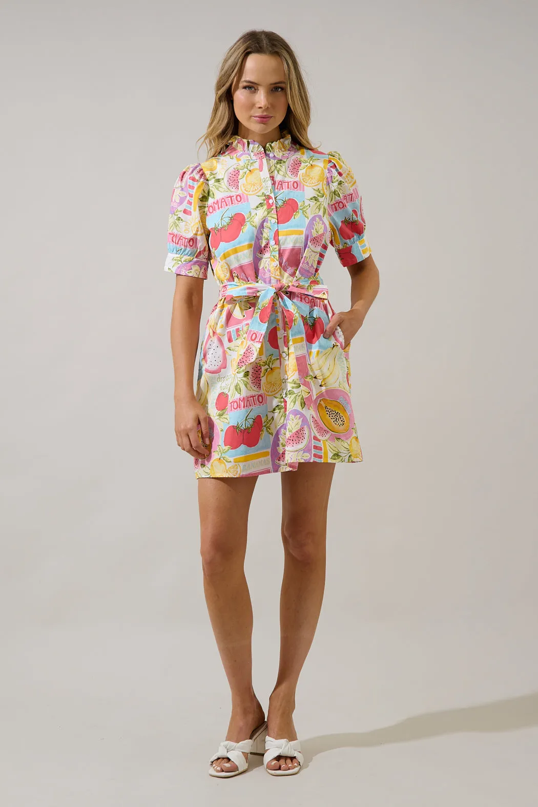 Karesa Button Down Mini Dress Farmers Market sold by Sugarlips product image thumbnail 5