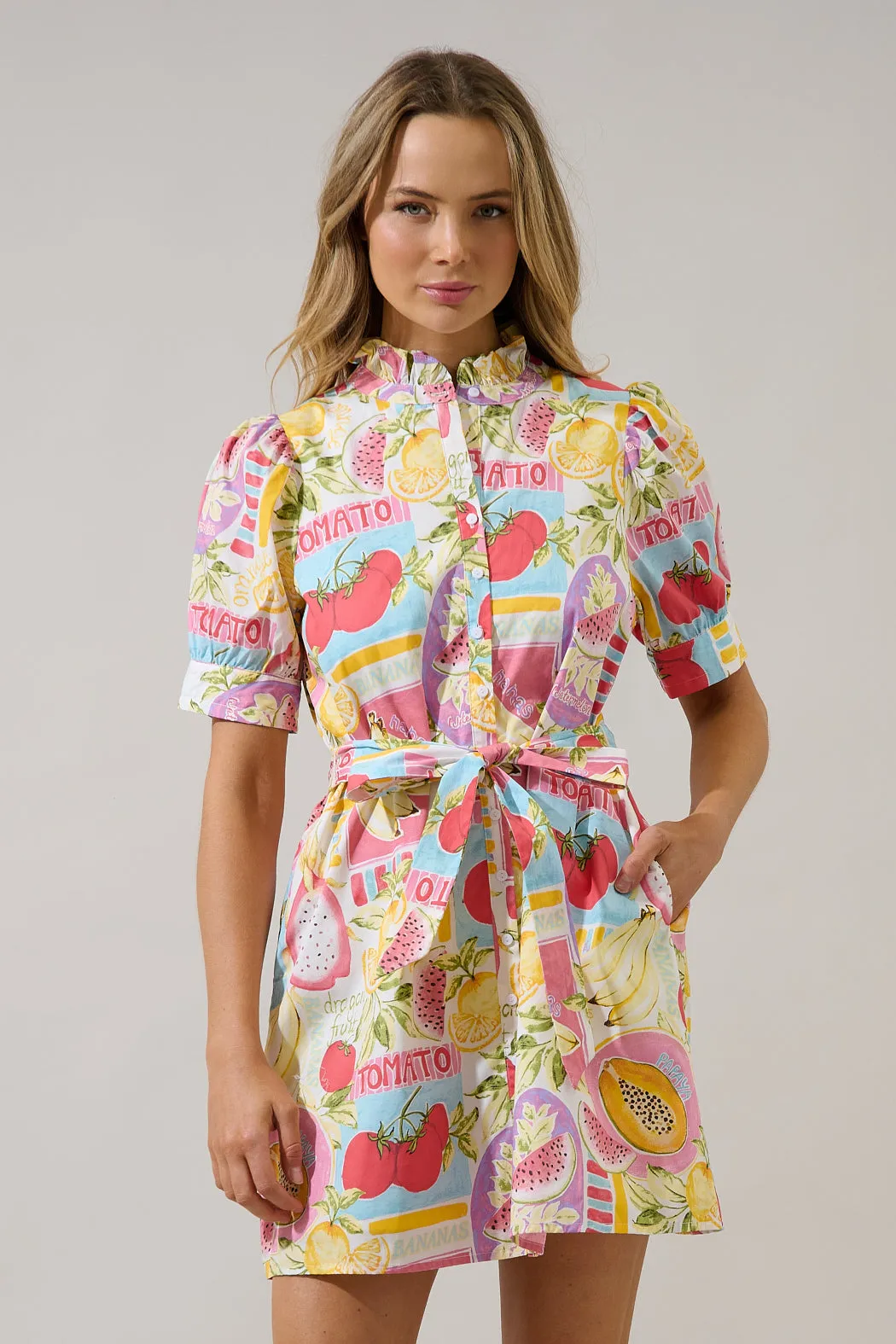 Karesa Button Down Mini Dress Farmers Market sold by Sugarlips product image thumbnail 2