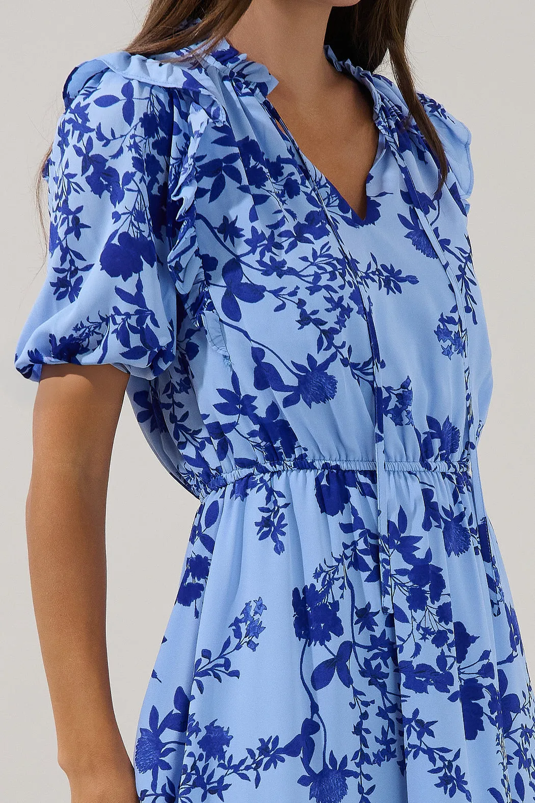 Karisa Ruffle Mini Dress Floral sold by Sugarlips product image thumbnail 5