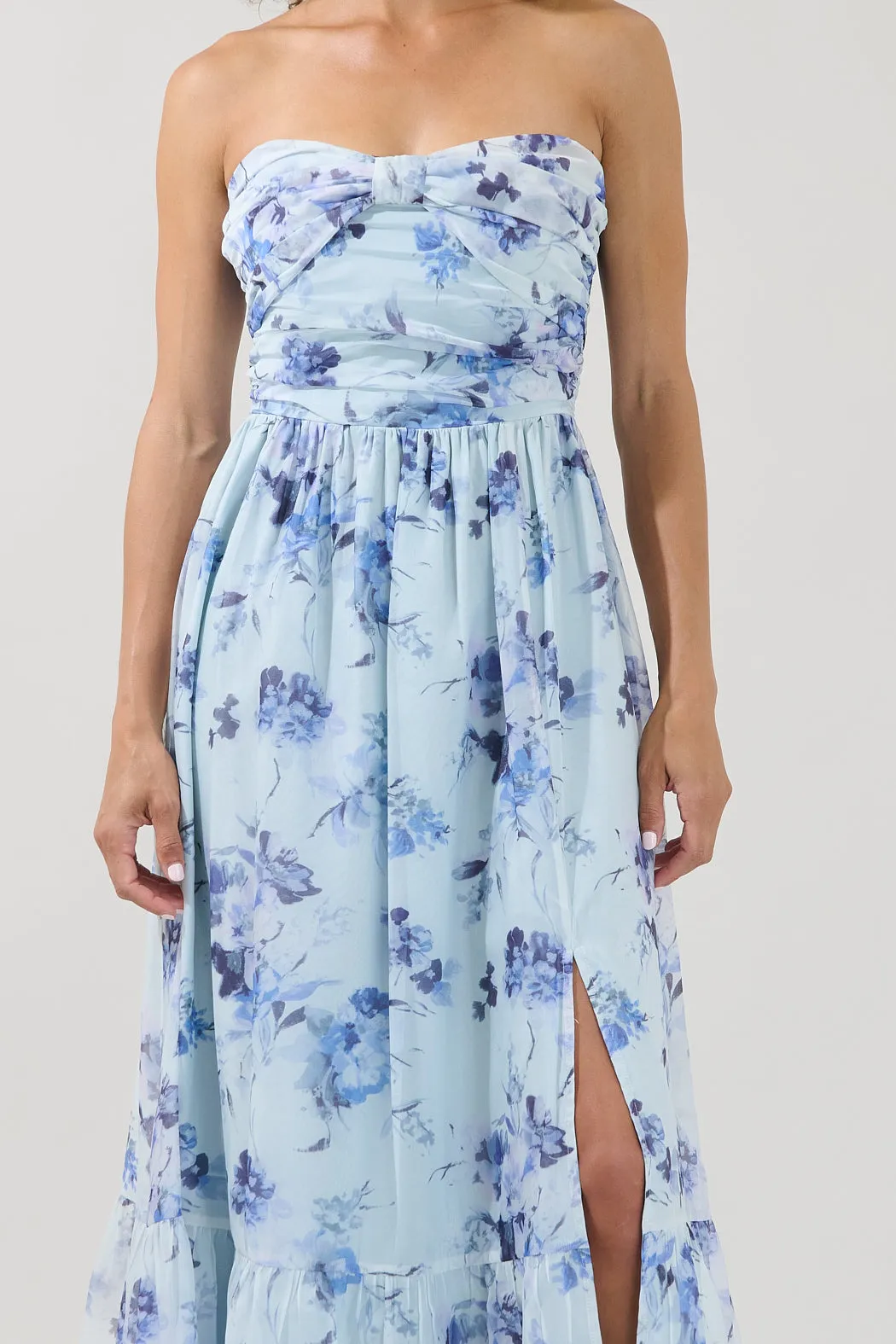 Delphinium Strapless Ruched Maxi Dress sold by Sugarlips product image thumbnail 4