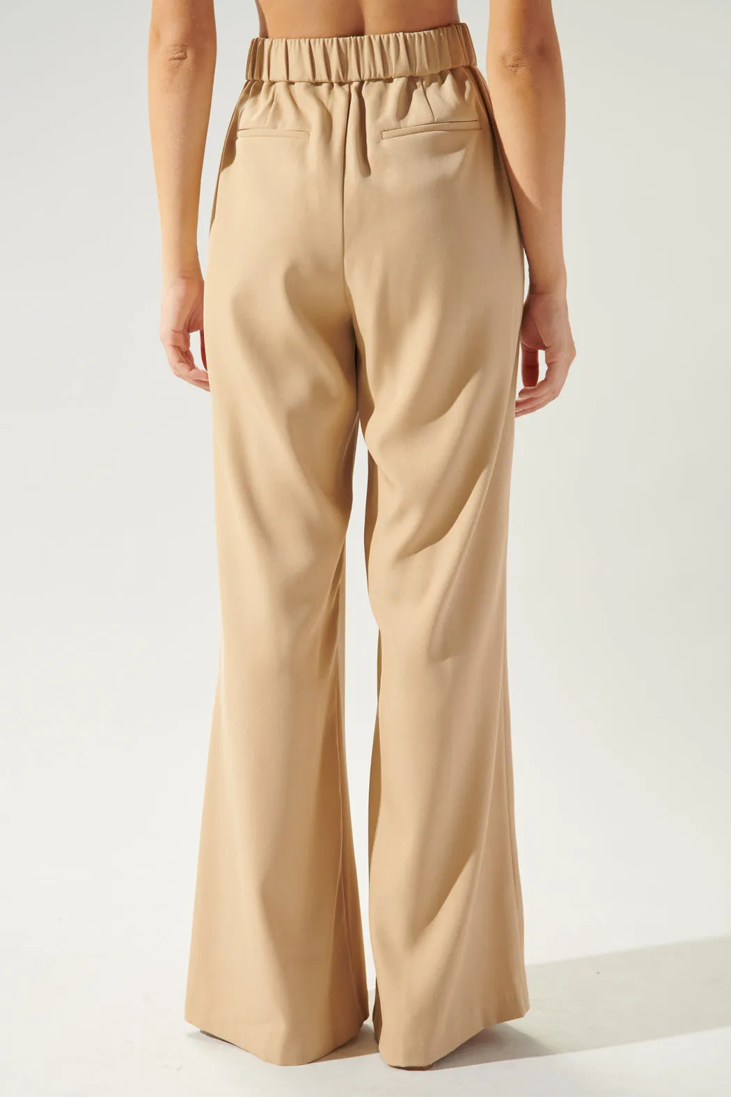 Take the Lead Pintuck Wide Leg Pants sold by Sugarlips product image thumbnail 2