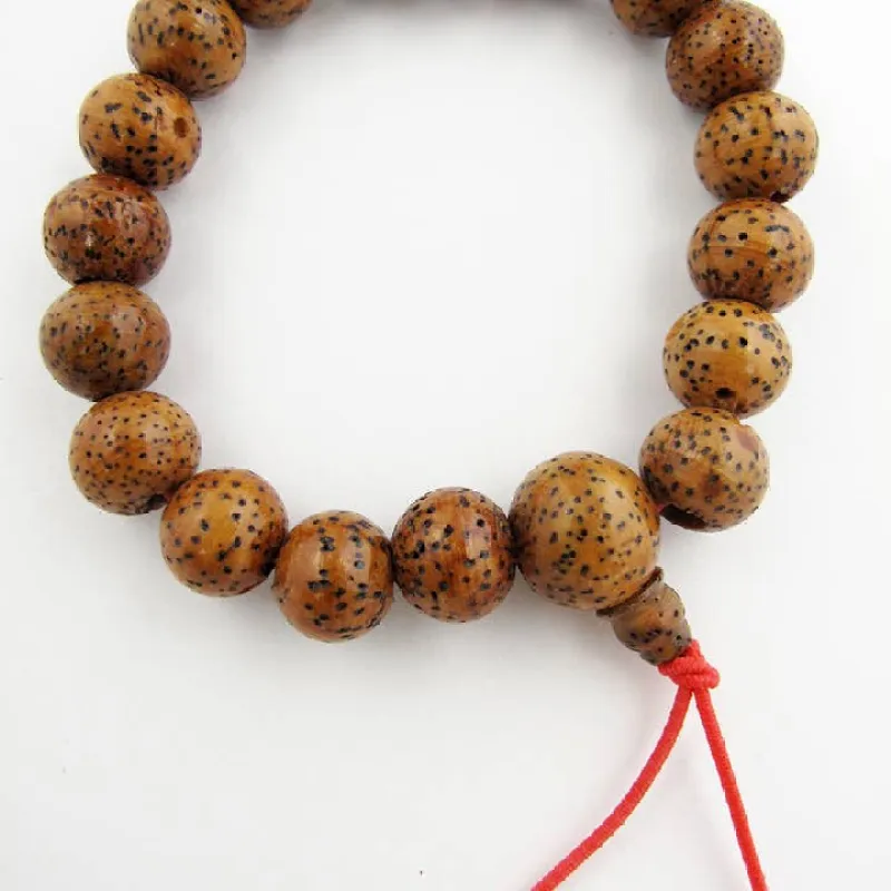 Lotus Seed Mala Bracelet - Brown sold by Sunbeam