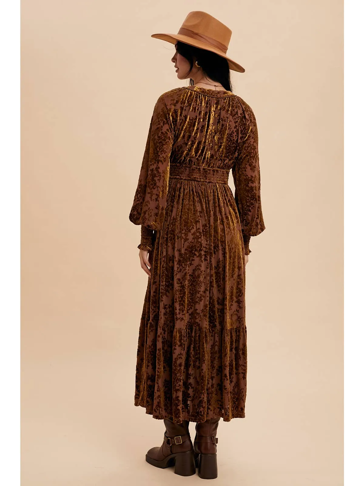 Velvet Burnout Maxi Dress sold by Sunbeam product image thumbnail 3