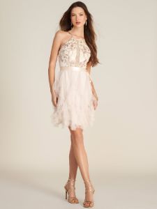 Embroidered Mesh Halter Top Mini Dress With Corkscrew Tulle Skirt sold by Suzy Shier