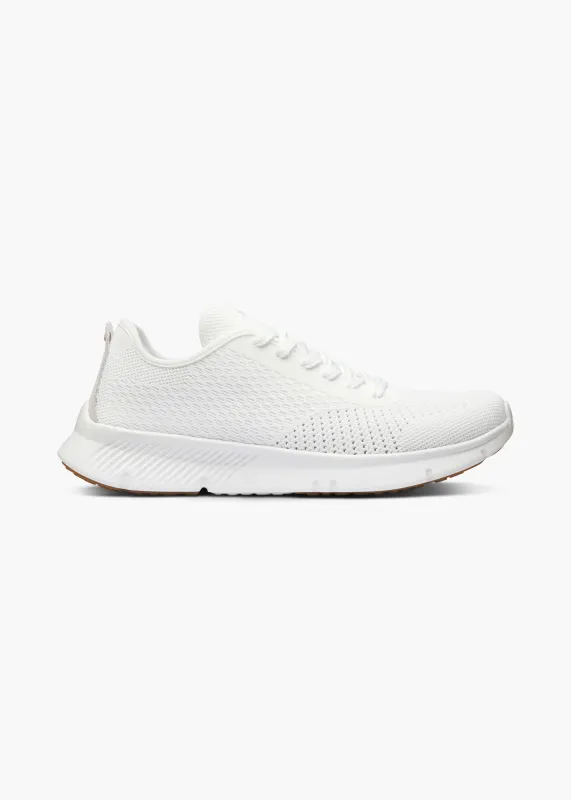 Mare Trainer sold by Swims