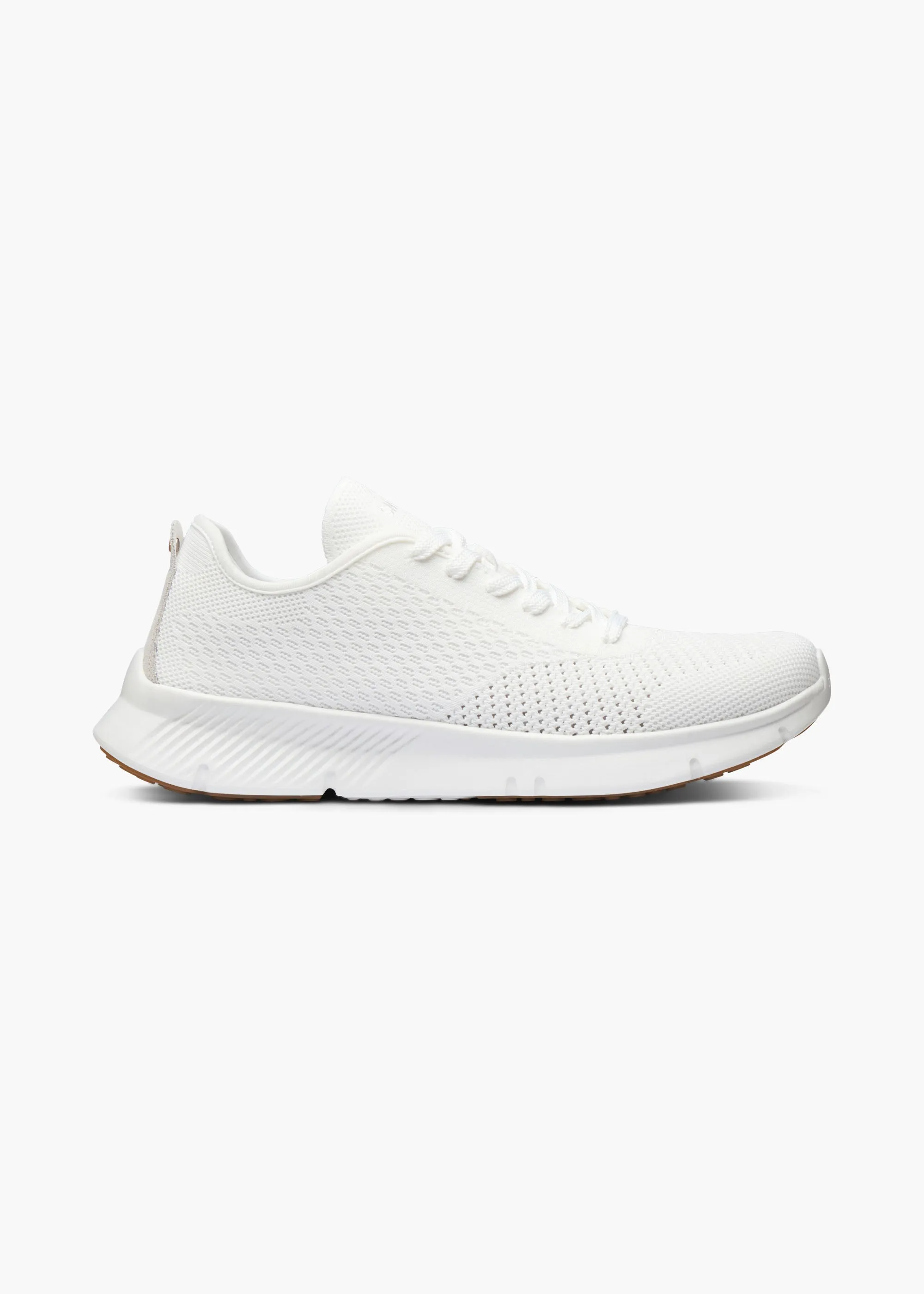 Mare Trainer sold by Swims