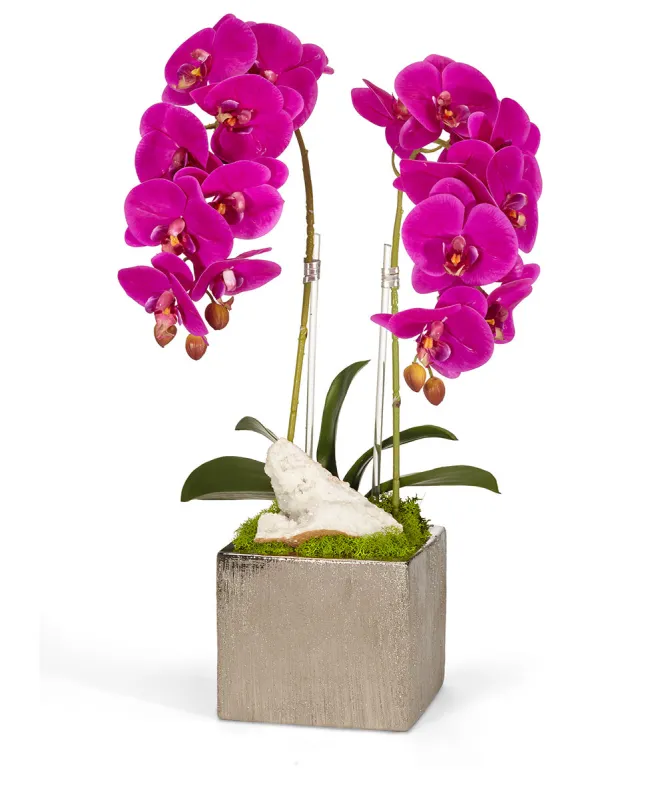 Double Orchid in Silver Square sold by T&C Floral Company