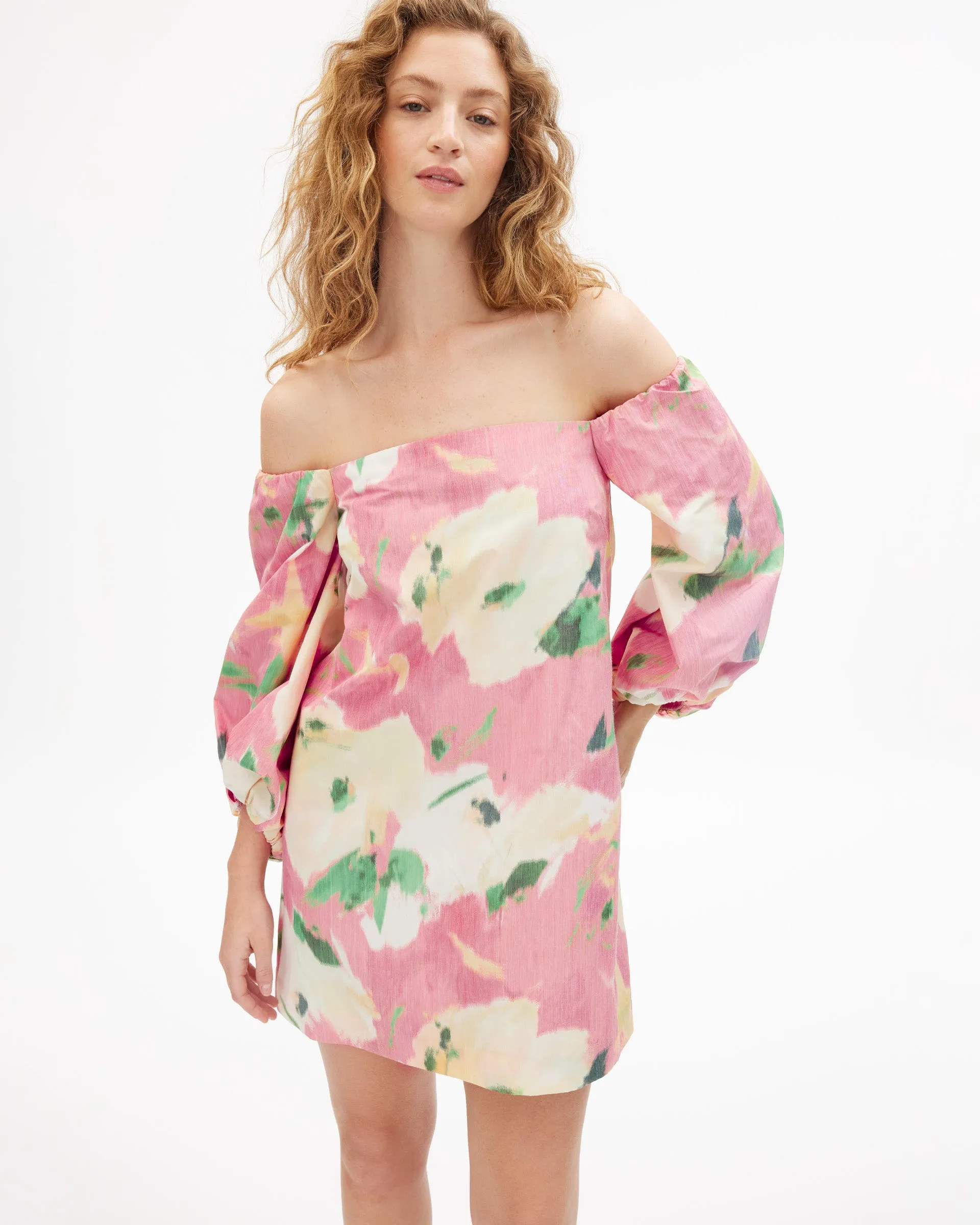 Ashley Dress sold by Tanya Taylor product image thumbnail 5