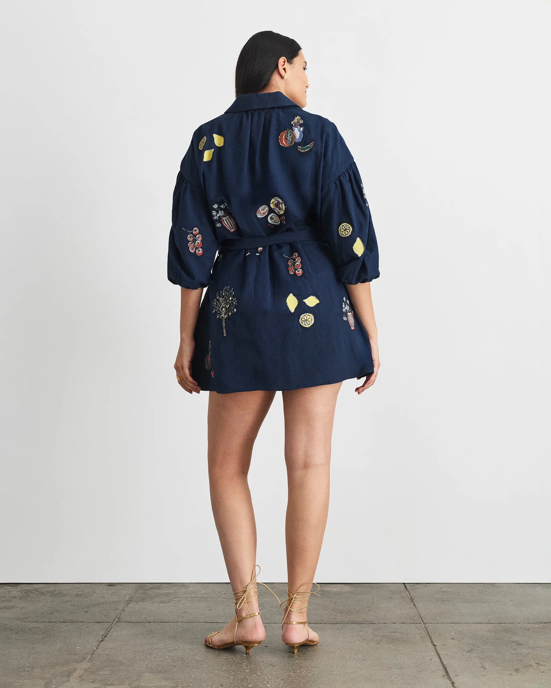 Sadie Dress sold by Tanya Taylor product image thumbnail 5