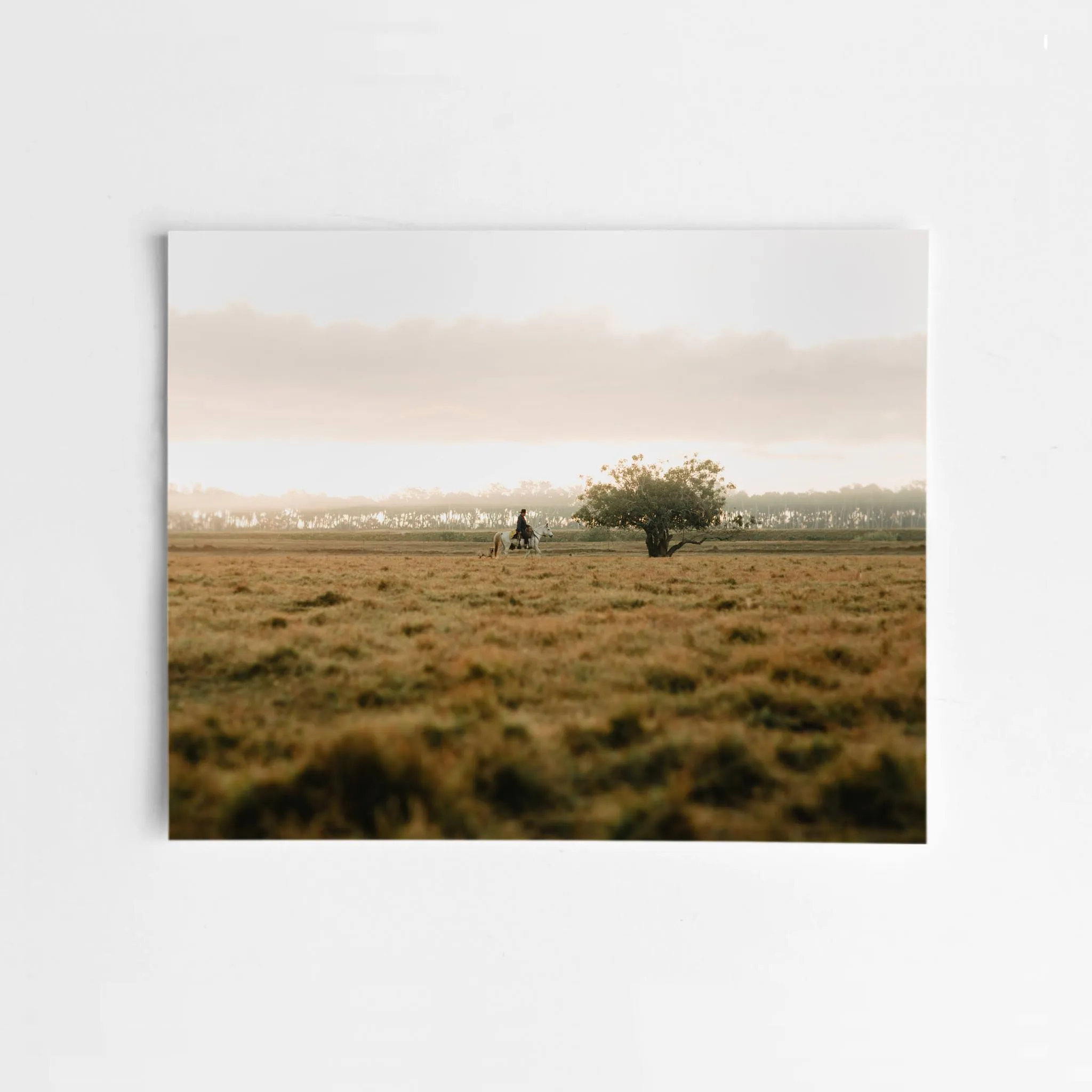 The Florida Cowboy by Corey Woosley sold by Taylor Stitch