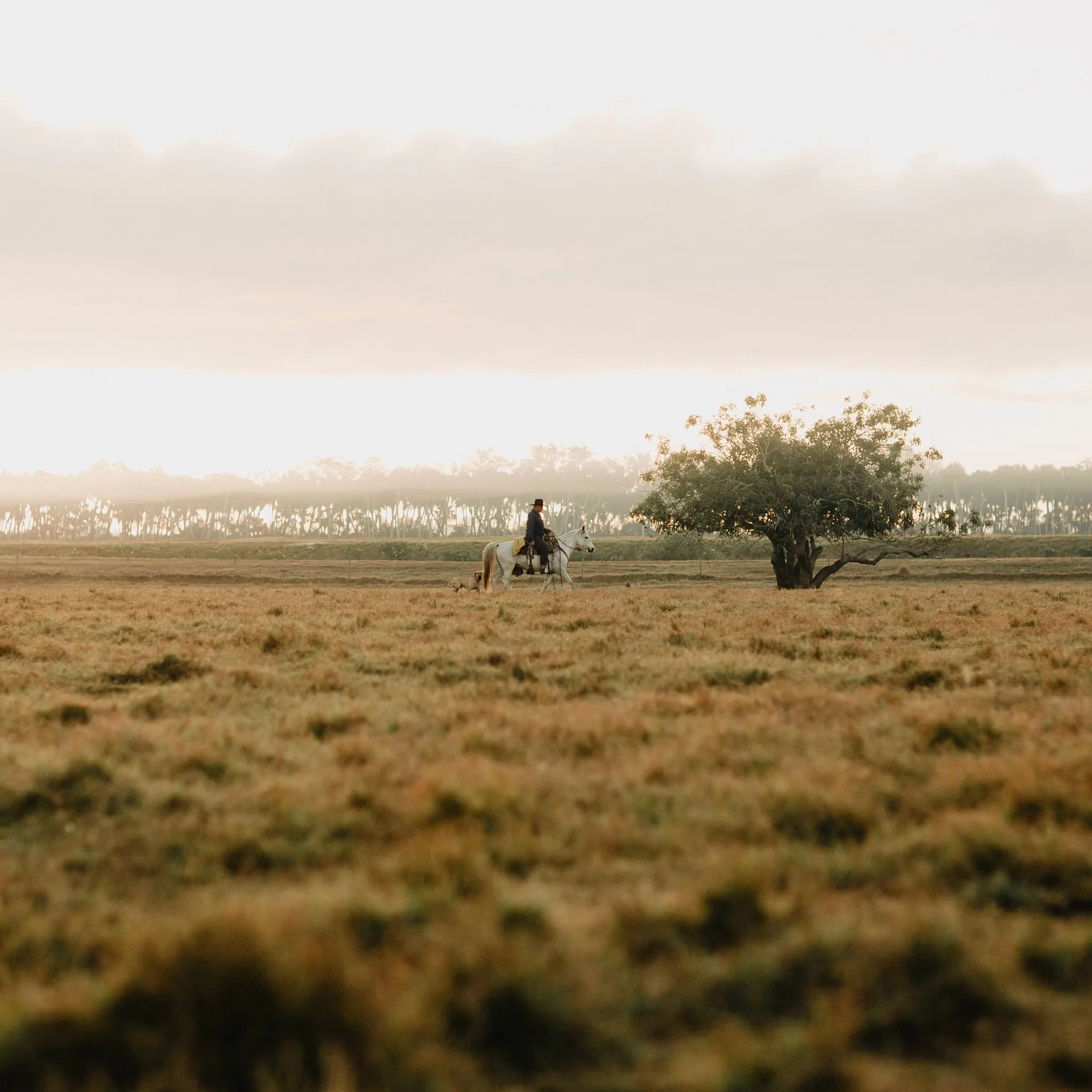 The Florida Cowboy by Corey Woosley sold by Taylor Stitch product image thumbnail 2