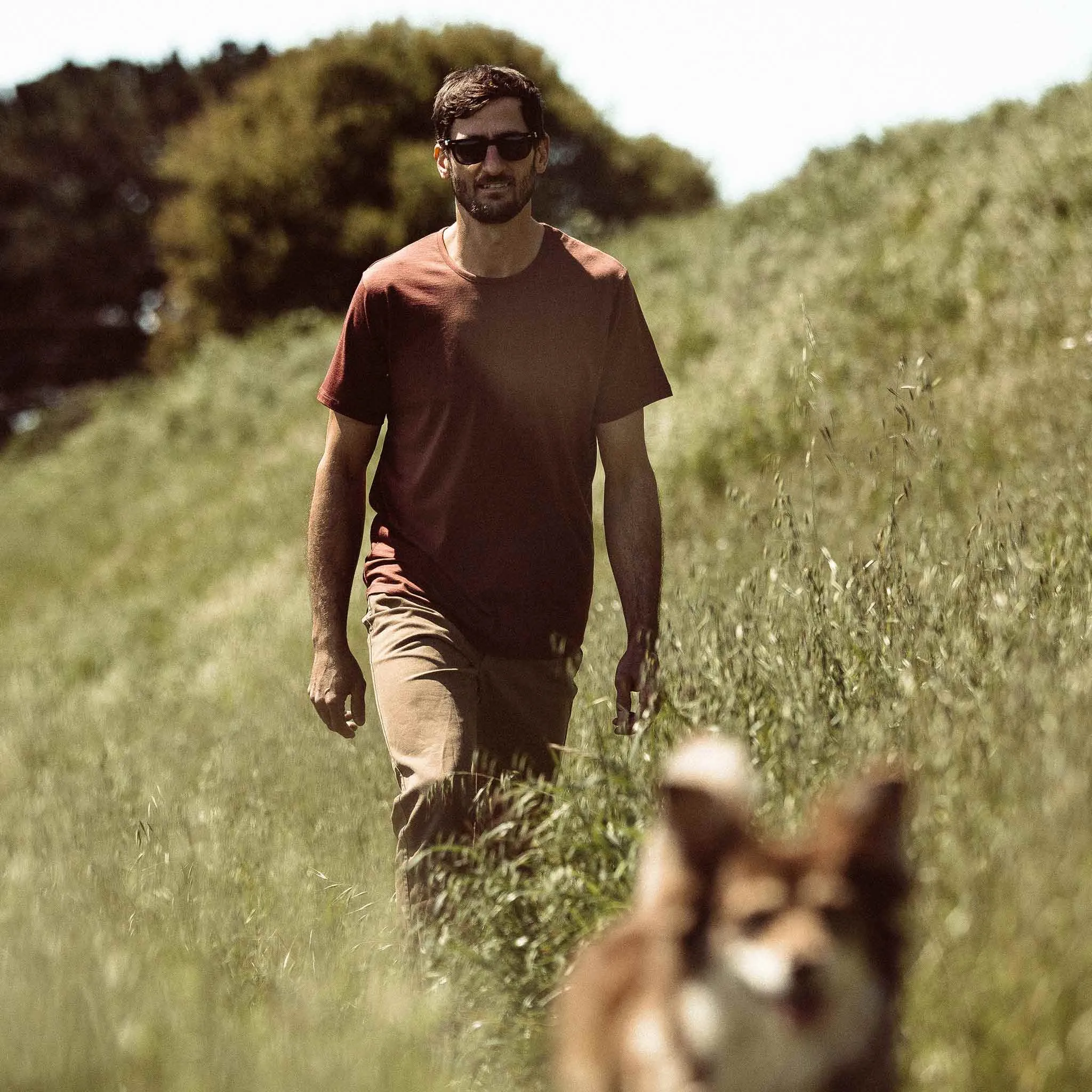 The Antoni Tee in Heather Brick sold by Taylor Stitch product image thumbnail 2