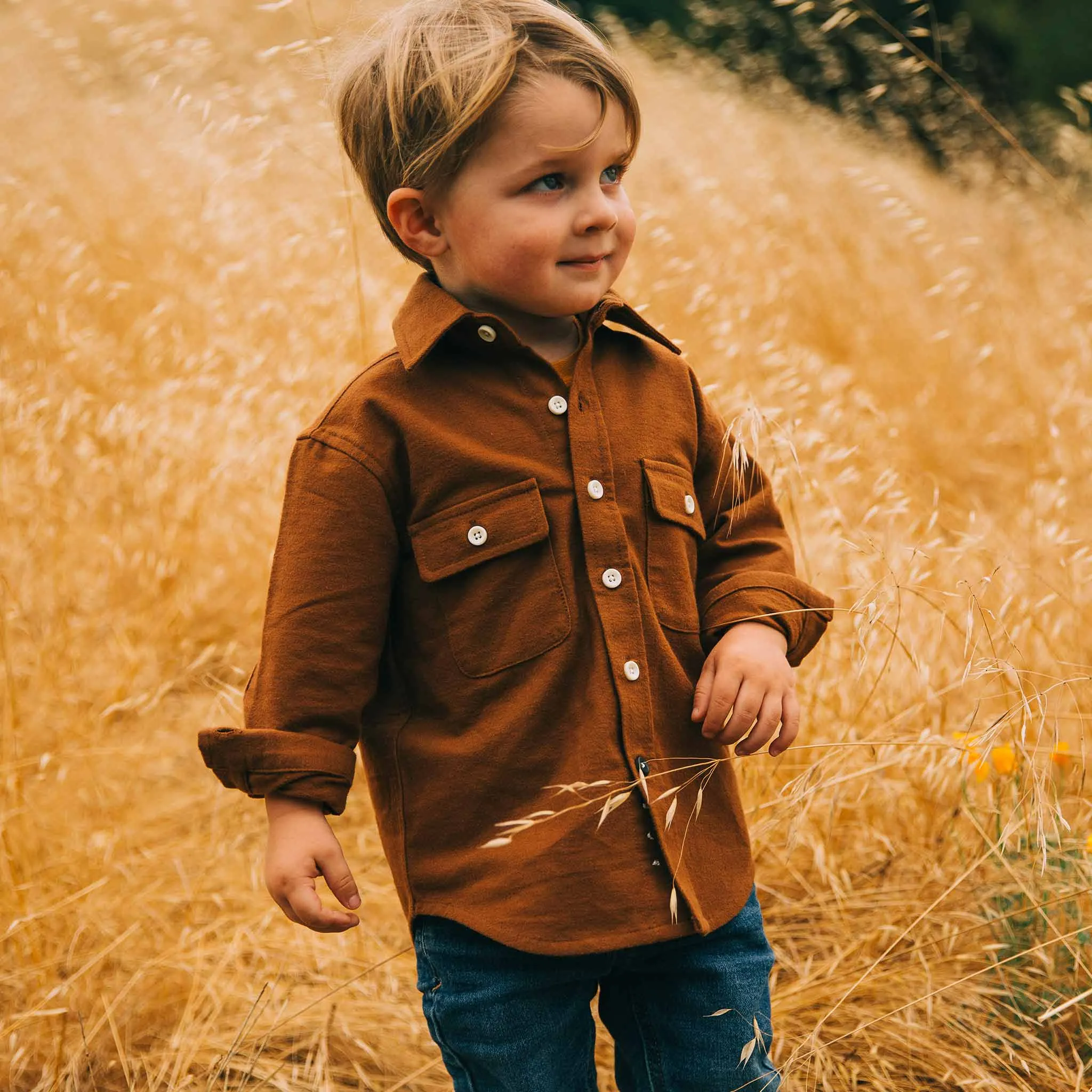 The Little Yosemite Shirt in Tobacco sold by Taylor Stitch product image thumbnail 2