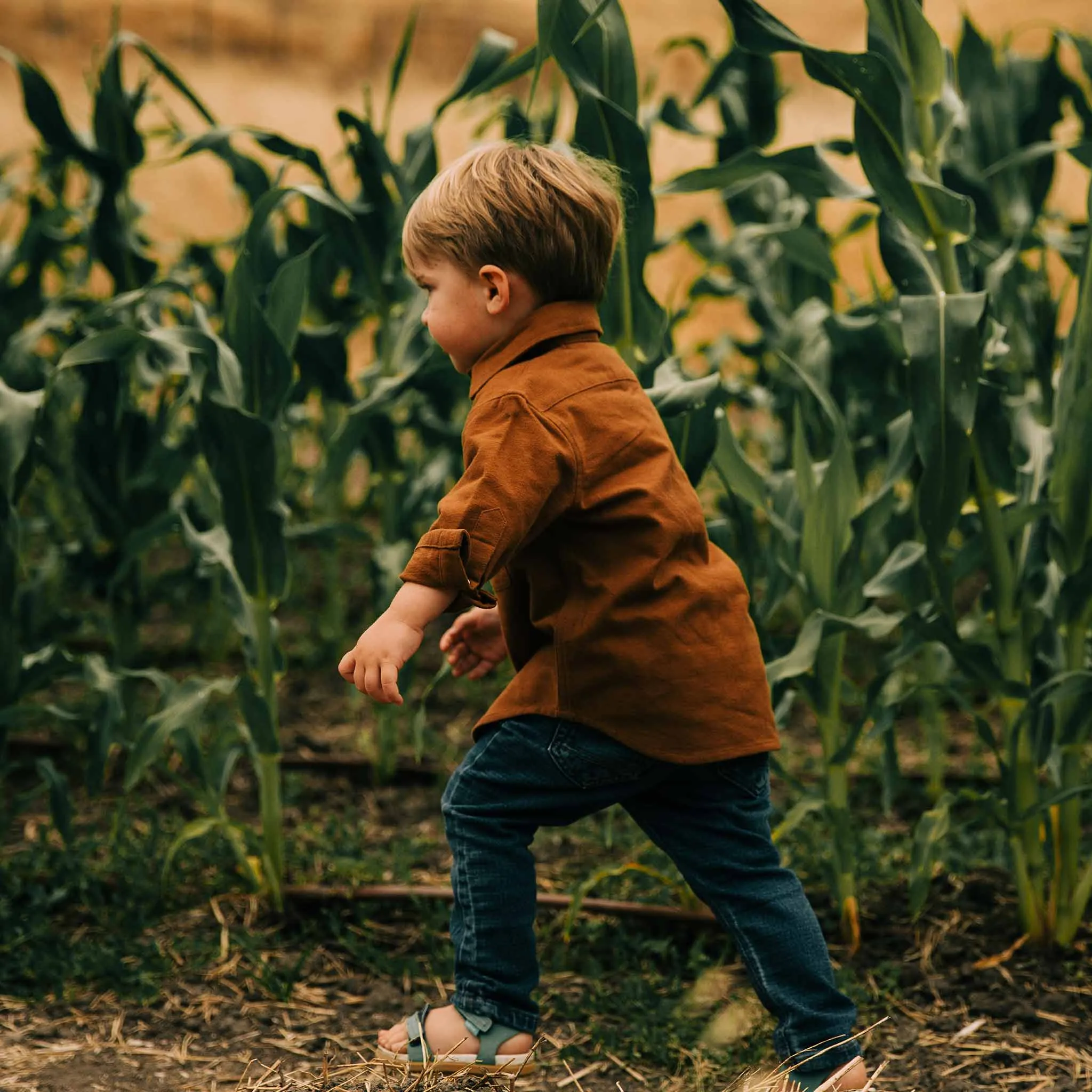 The Little Yosemite Shirt in Tobacco sold by Taylor Stitch product image thumbnail 4