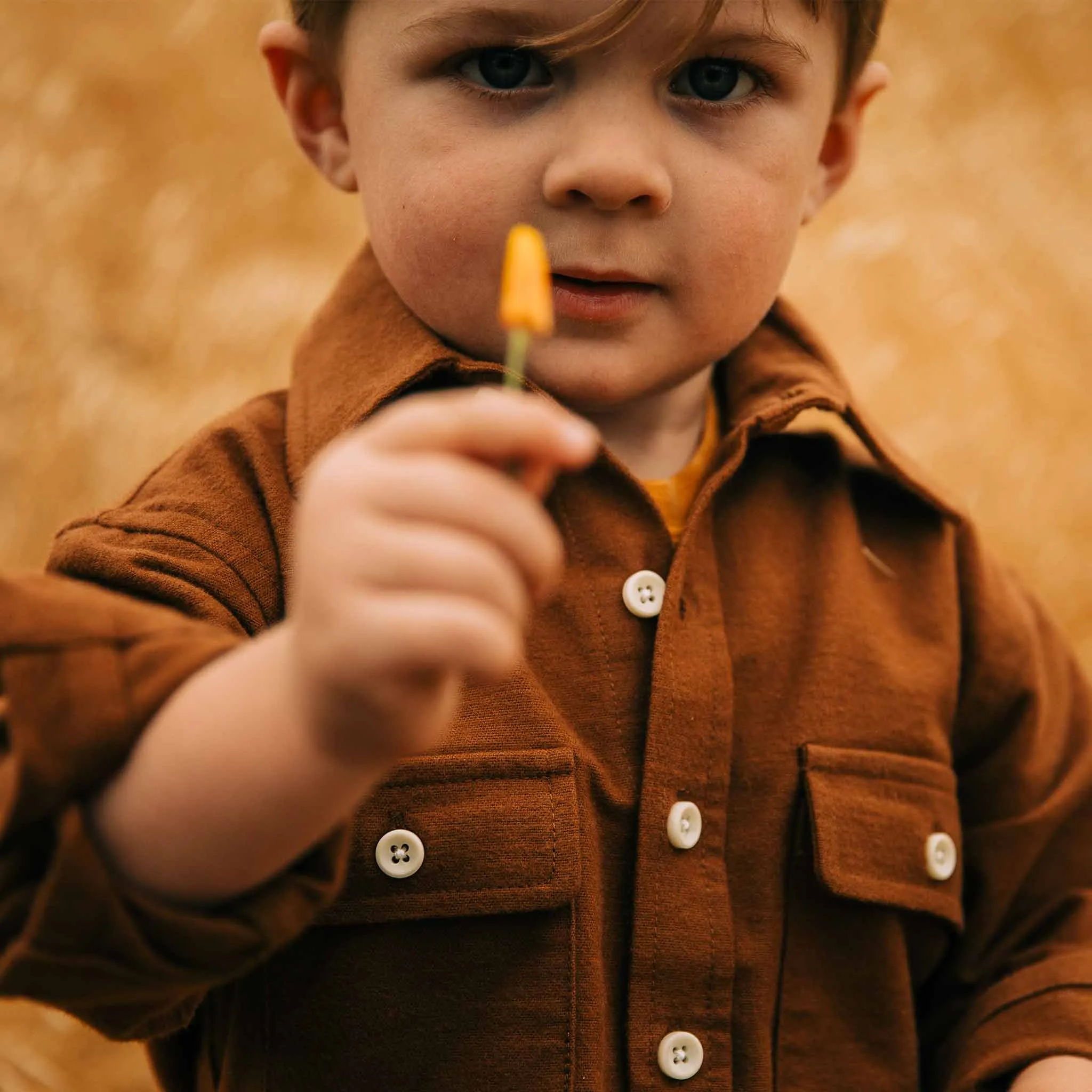 The Little Yosemite Shirt in Tobacco sold by Taylor Stitch product image thumbnail 3