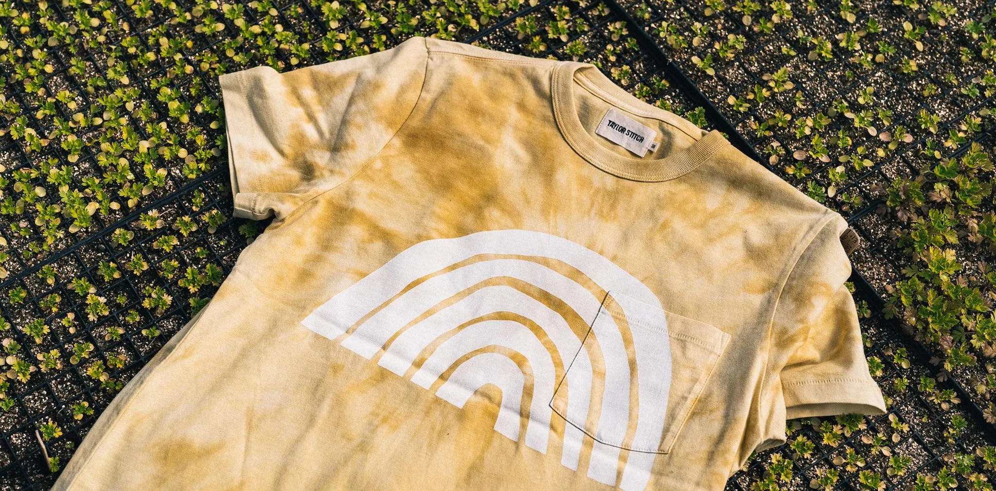 The Organic Cotton Tee in Ecology Center sold by Taylor Stitch product image thumbnail 5