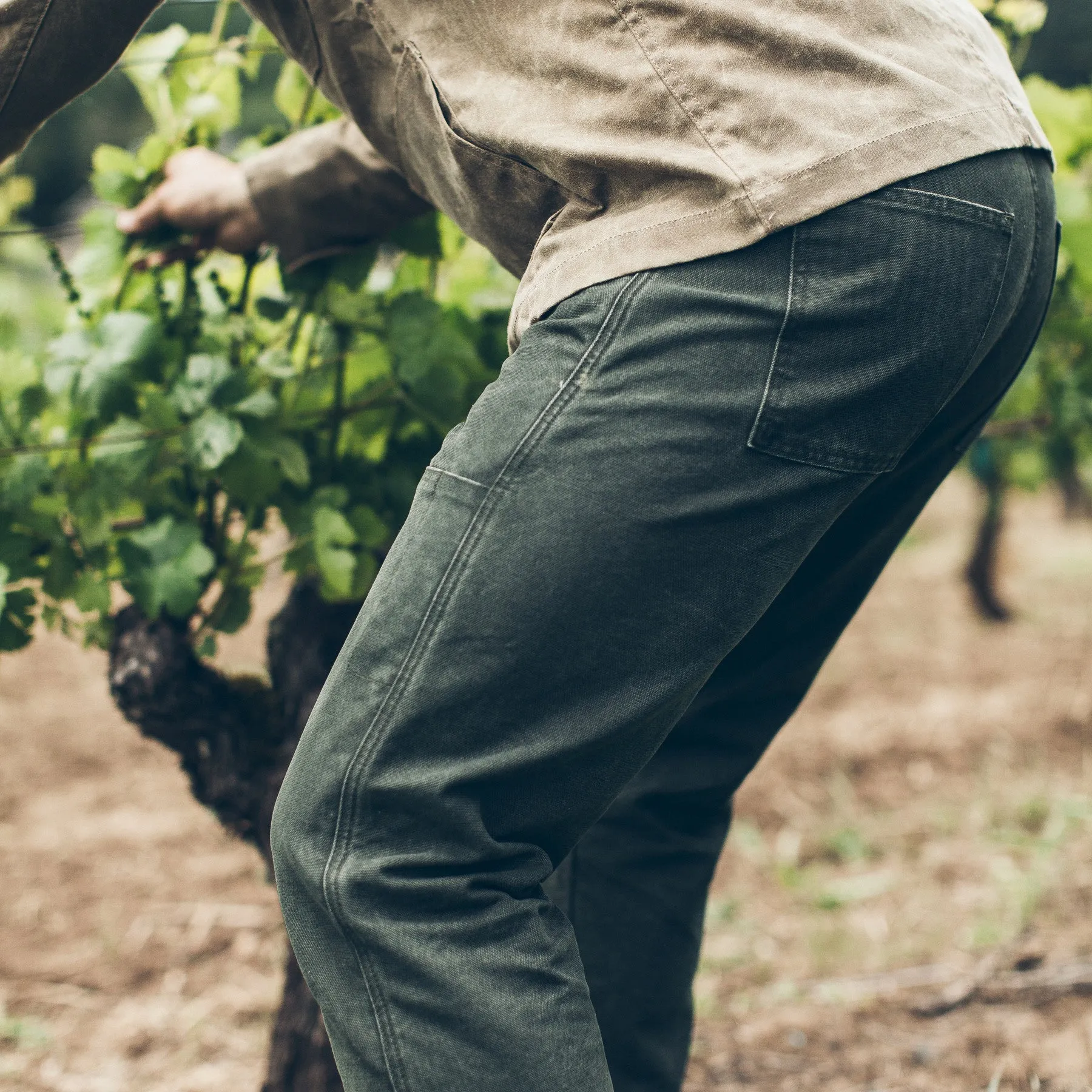 The Chore Pant in Washed Olive sold by Taylor Stitch product image thumbnail 4