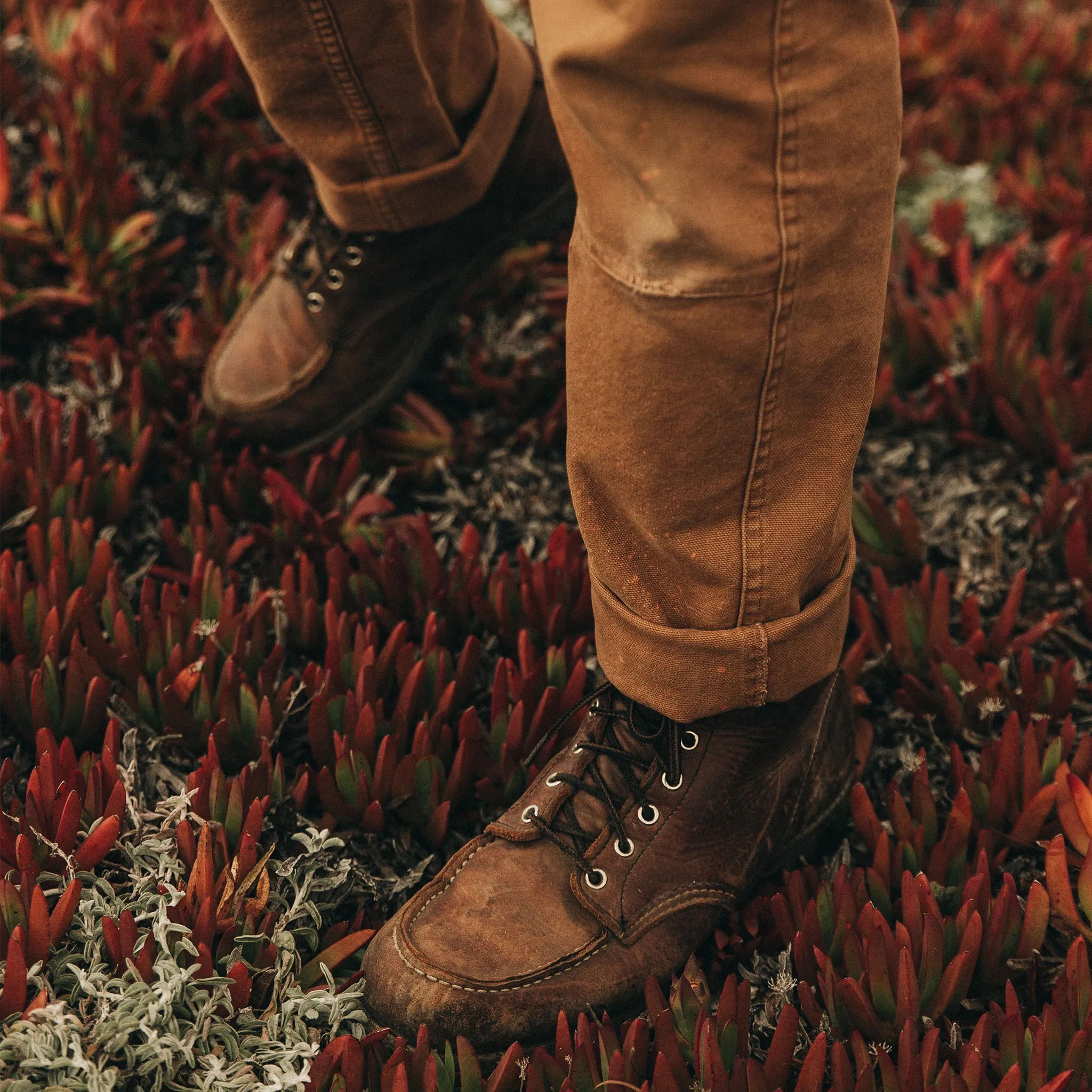 The Chore Pant in Tobacco Boss Duck sold by Taylor Stitch product image thumbnail 4