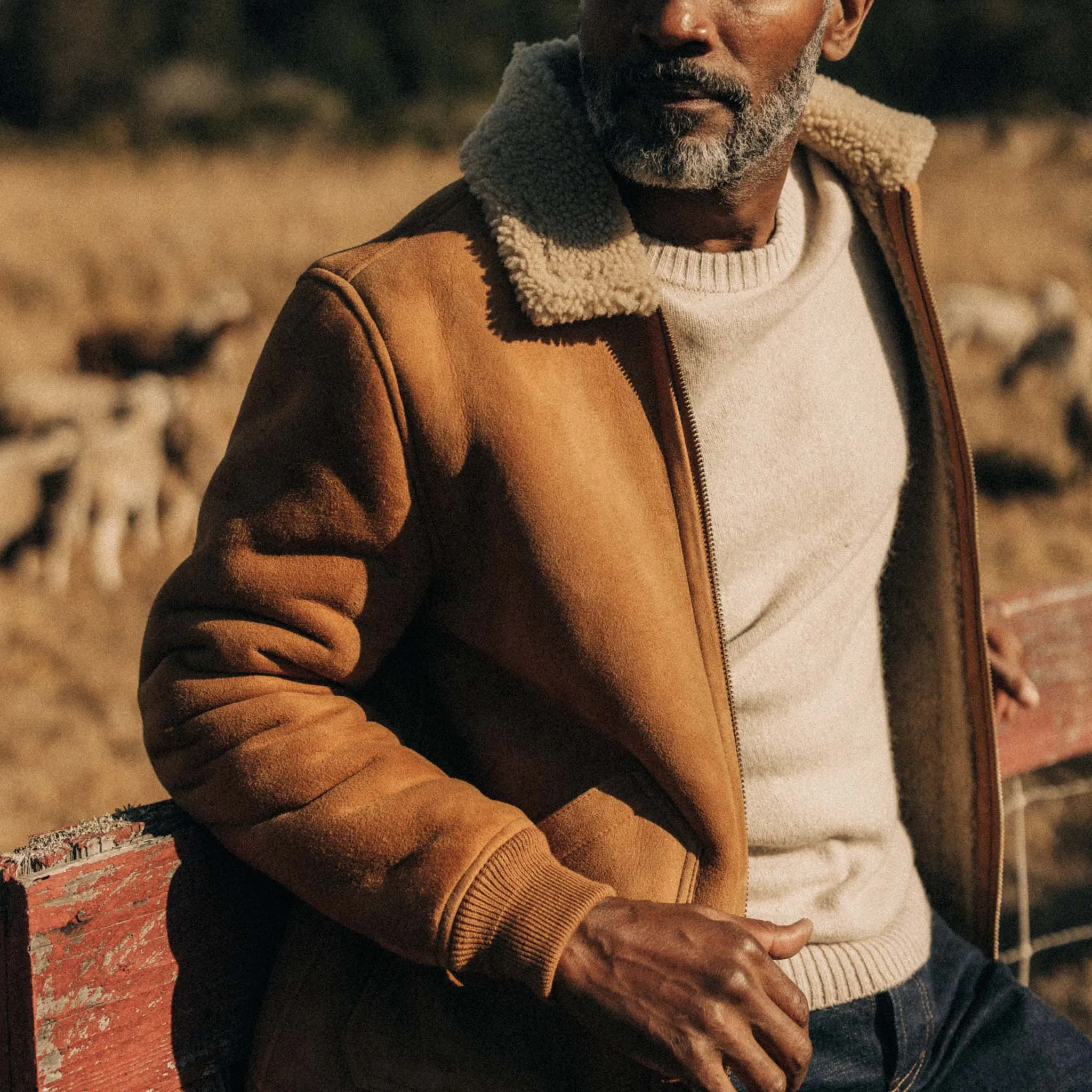 The Wright Jacket in Camel Shearling Leather sold by Taylor Stitch product image thumbnail 3