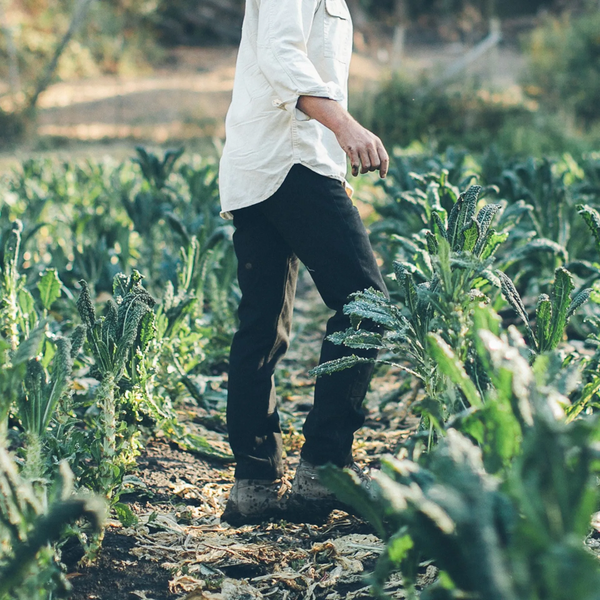 The Chore Pant in Coal sold by Taylor Stitch product image thumbnail 2