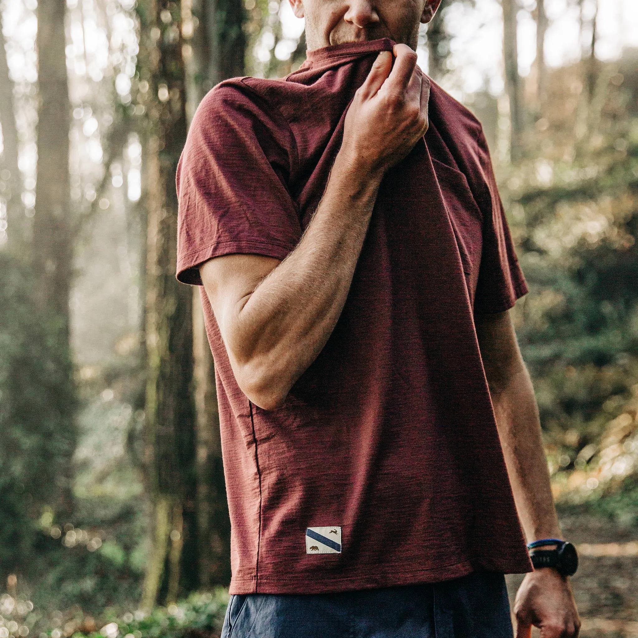 The Merino Tee in Wine sold by Taylor Stitch product image thumbnail 3