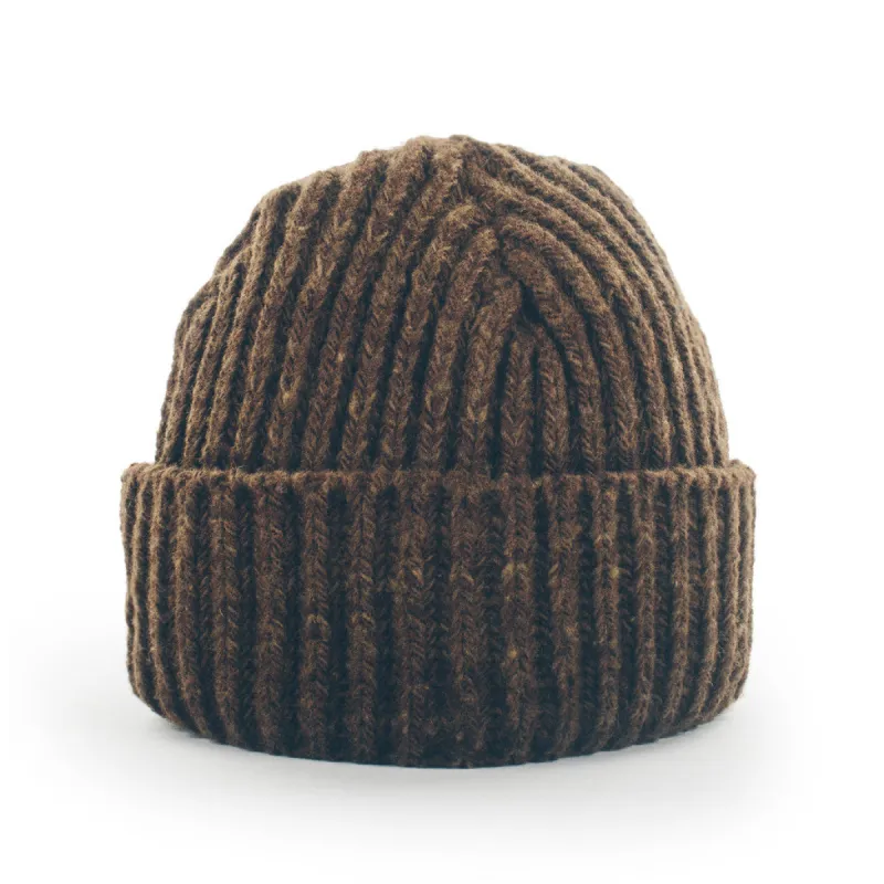 The Merino Wool Beanie in Pinecone sold by Taylor Stitch