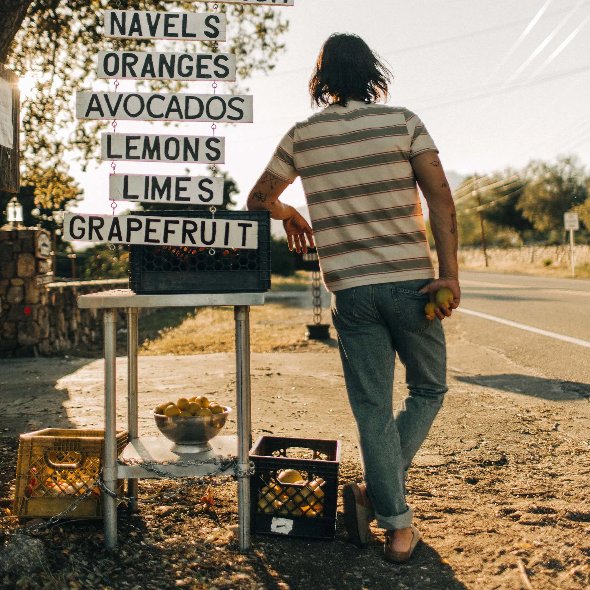 The Organic Cotton Tee in Seagrass Stripe sold by Taylor Stitch product image thumbnail 5