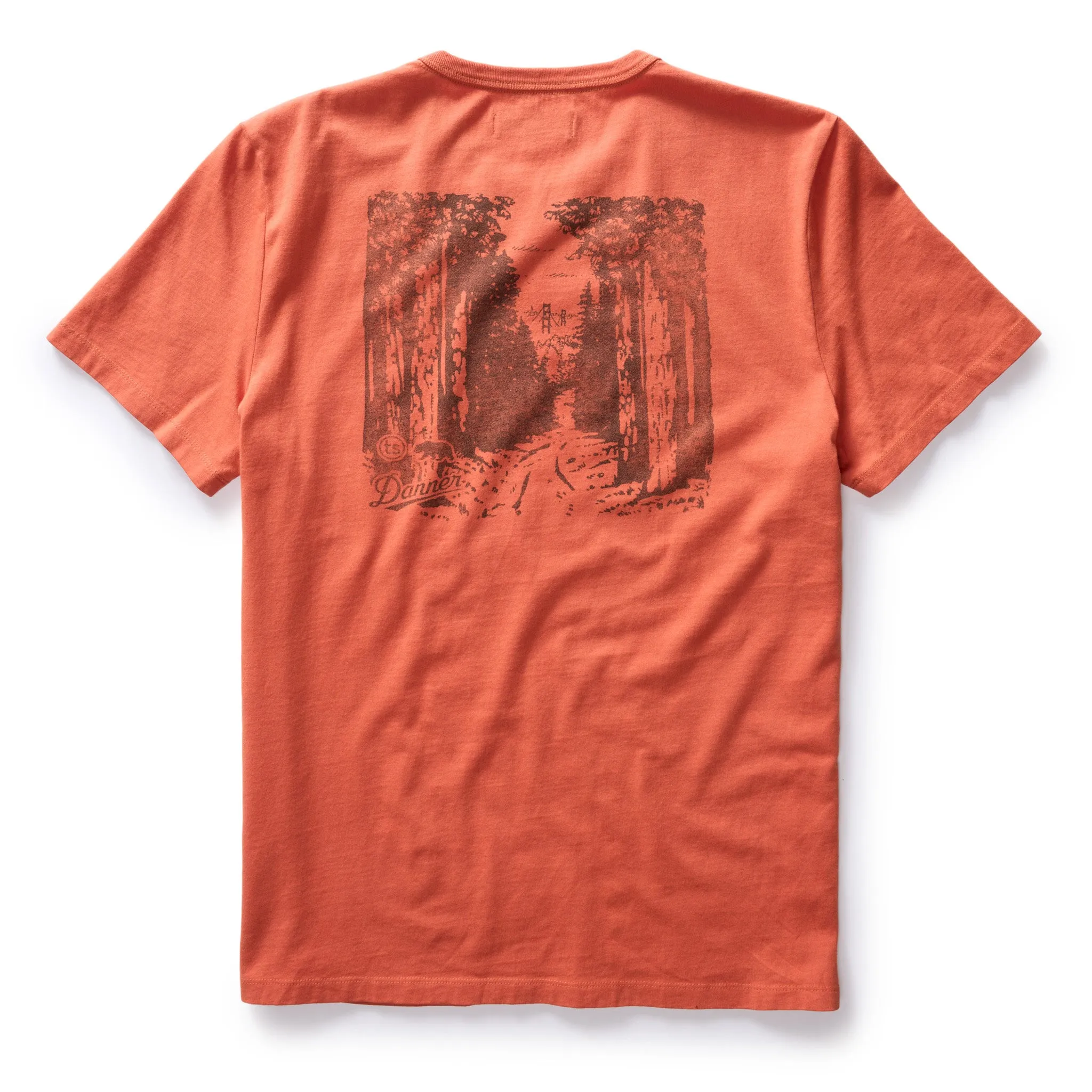 The Organic Cotton Tee in Coastal Trail sold by Taylor Stitch product image thumbnail 4