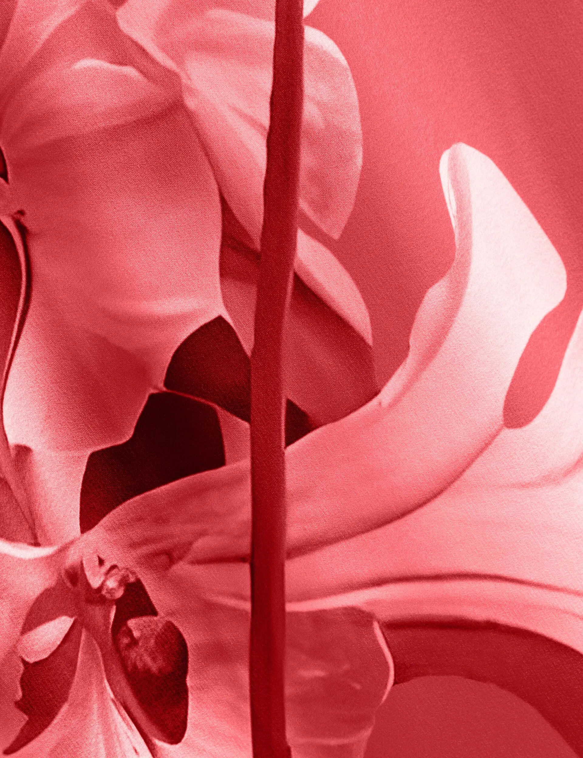 AJIMA | CORAL sold by Ted Baker product image thumbnail 3