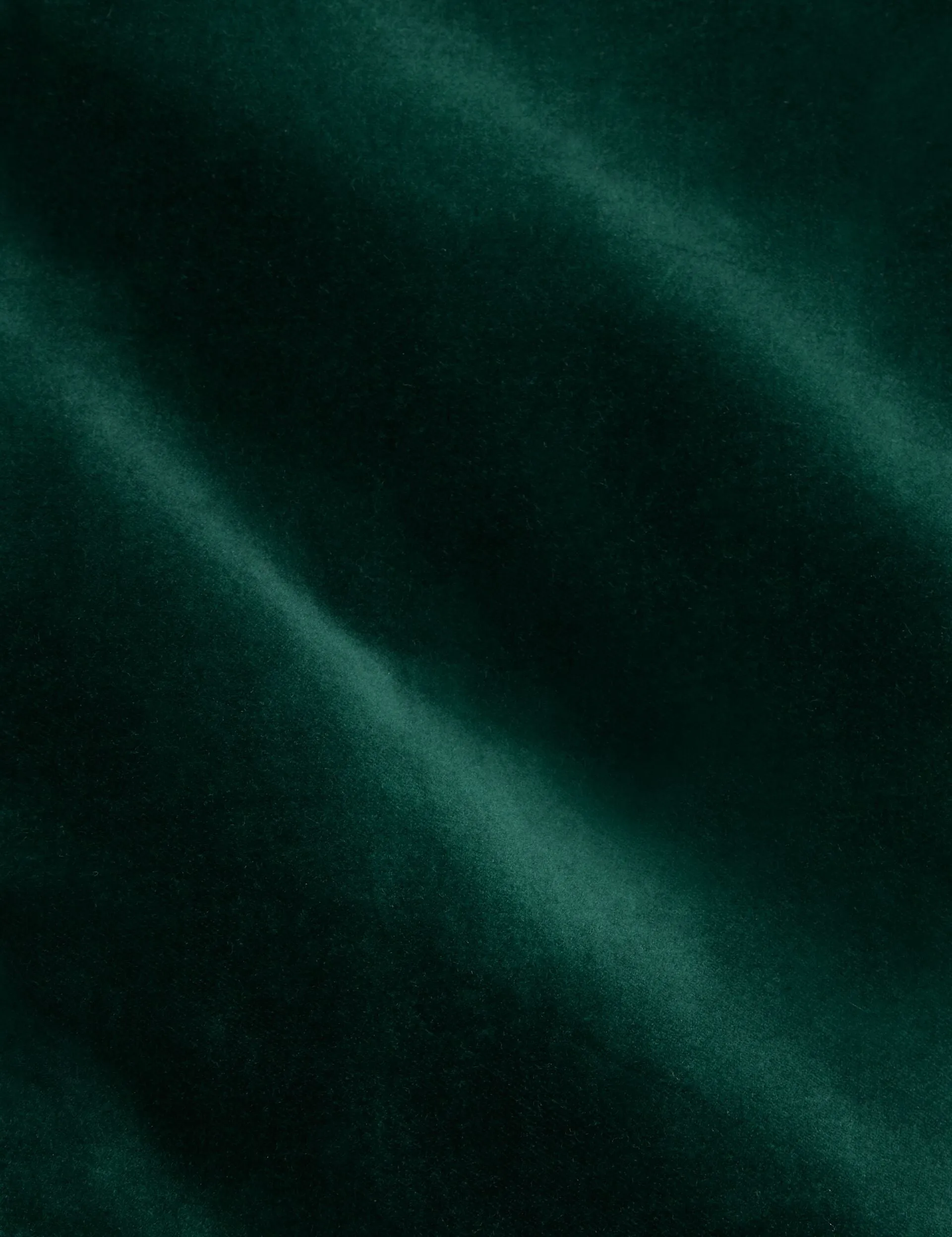 WEBSTER | DARK GREEN sold by Ted Baker product image thumbnail 3