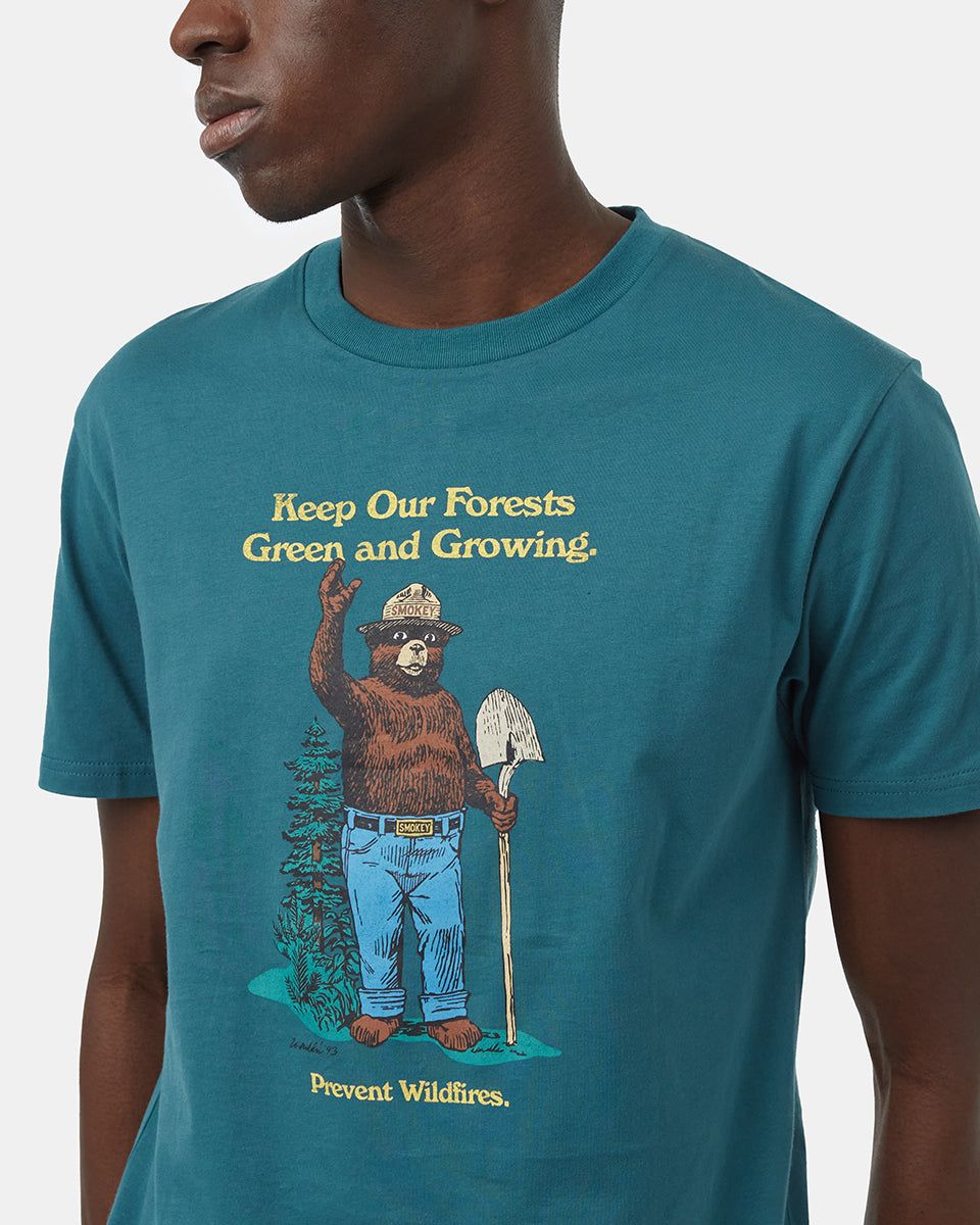 Smokey Bear Please Folks T-Shirt sold by tentree product image thumbnail 4