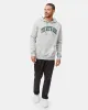 Tentree Arch Hoodie sold by tentree