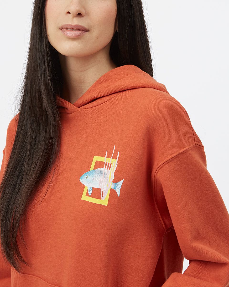 National Geographic Mangrove Snapper Hoodie sold by tentree product image thumbnail 3