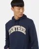 Tentree Arch Hoodie sold by tentree