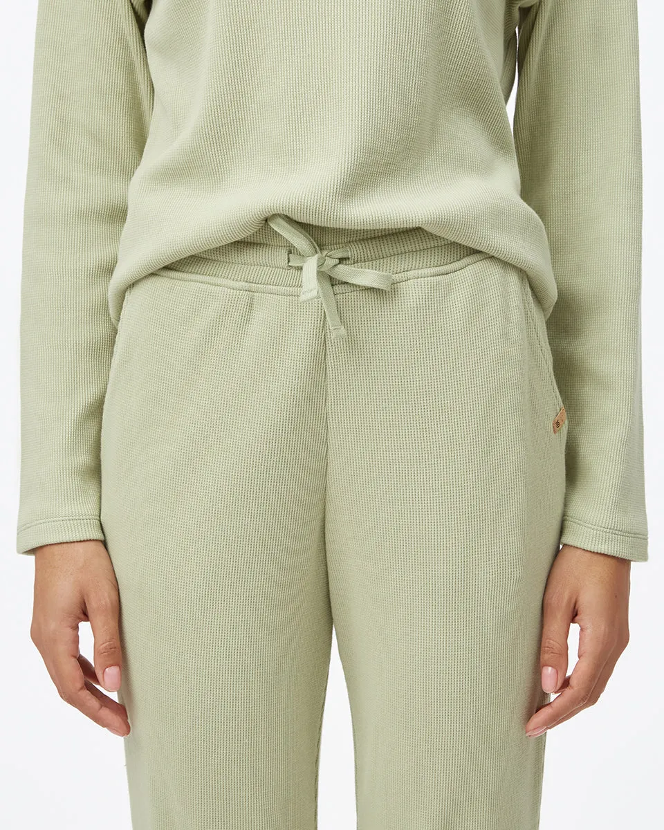 Treewaffle Fulton Jogger sold by tentree product image thumbnail 5