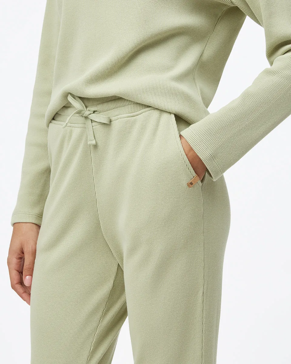 Treewaffle Fulton Jogger sold by tentree product image thumbnail 4