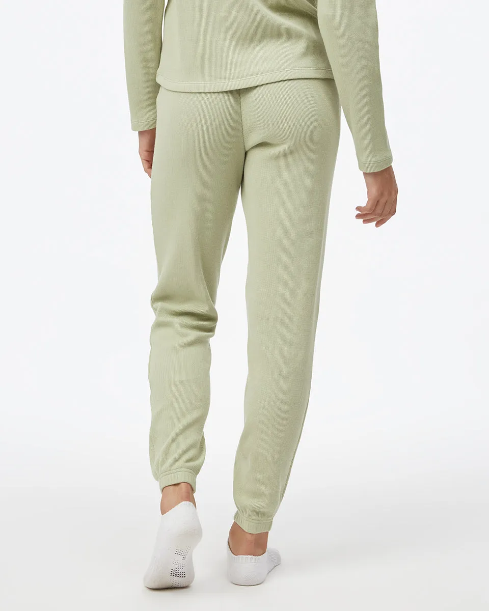 Treewaffle Fulton Jogger sold by tentree product image thumbnail 3