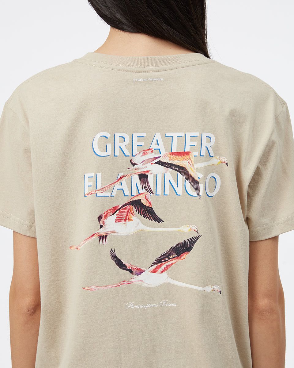 National Geographic Flamingo T-Shirt sold by tentree product image thumbnail 6