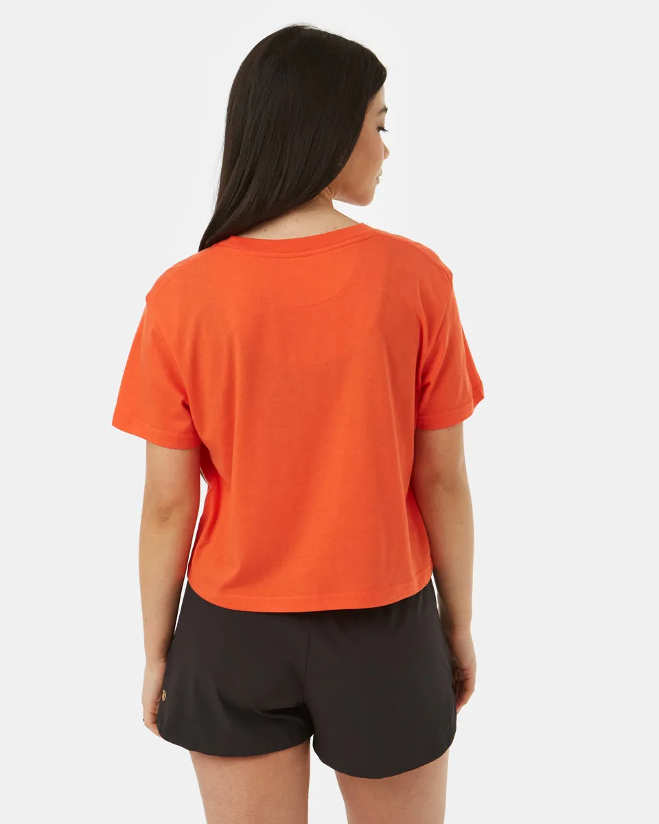 TreeBlend Cropped Relaxed T-Shirt sold by tentree product image thumbnail 4