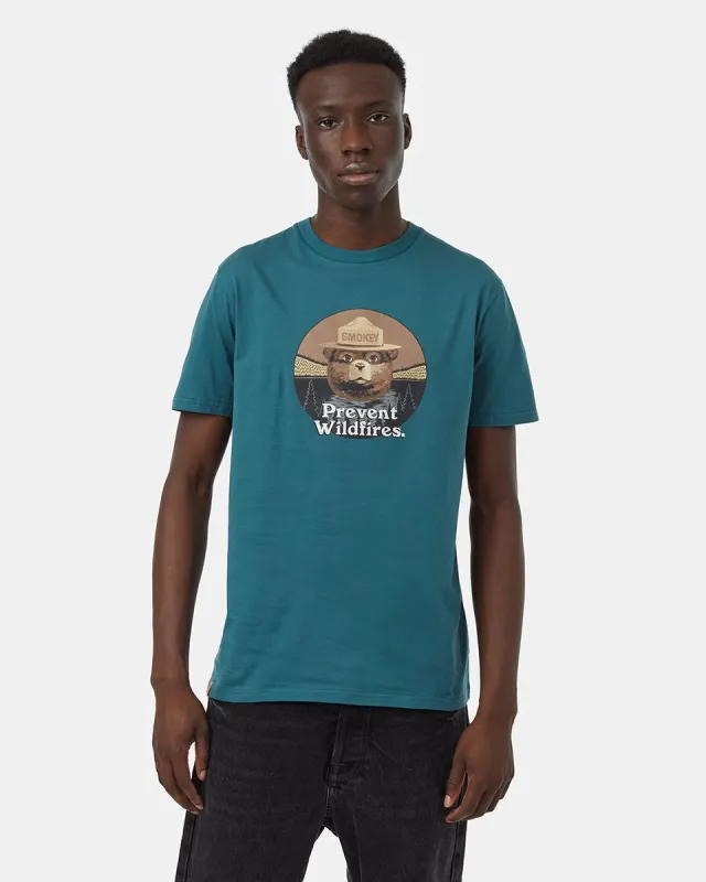 Smokey Bear Prevent Wildfires T-Shirt sold by tentree